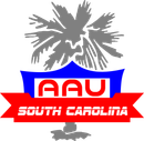 A logo for aau south carolina with a palm tree