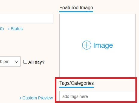 A screenshot of a website with a featured image and tags / categories.