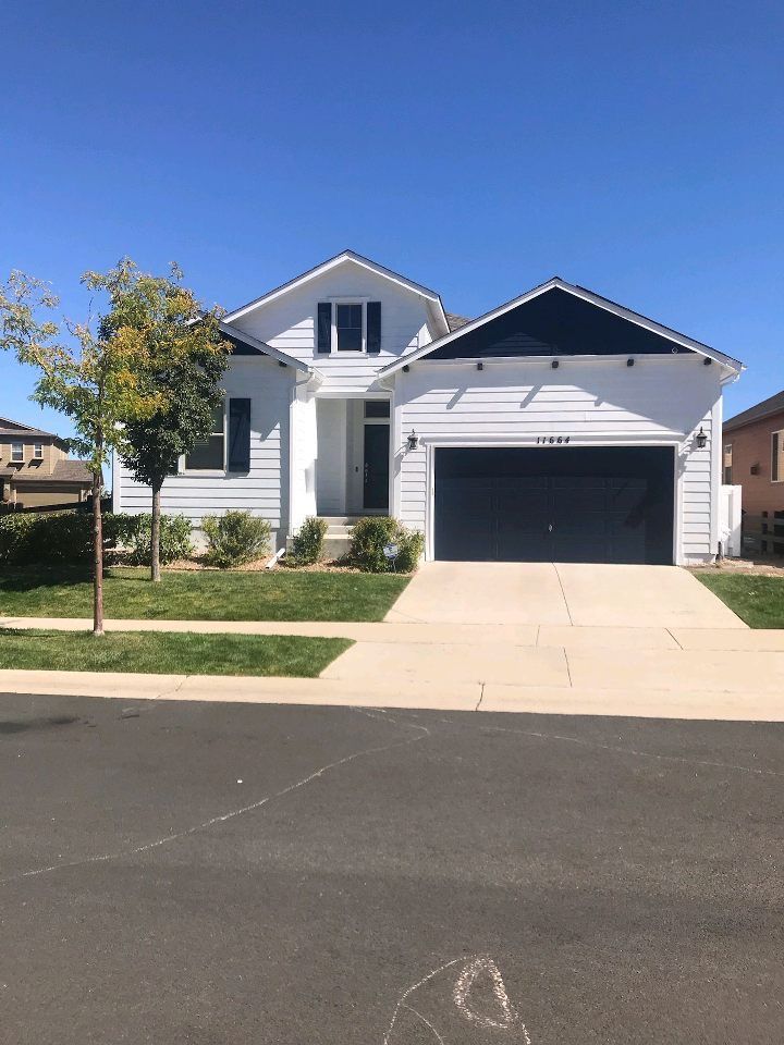 Suburban house with white siding, black garage door, driveway, and a small tree under a clear blue sky