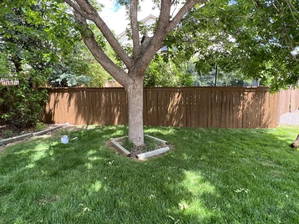 Backyard with a large tree, green grass, and a wooden fence in the background