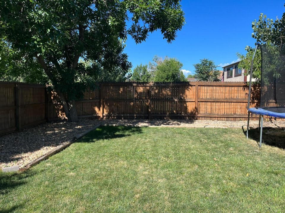 Backyard with green lawn, wooden fence, trees, and a small trampoline on the right