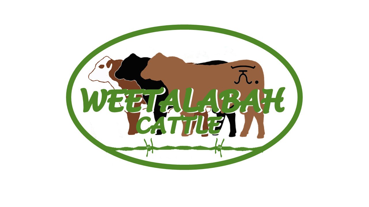 weetalabah logo