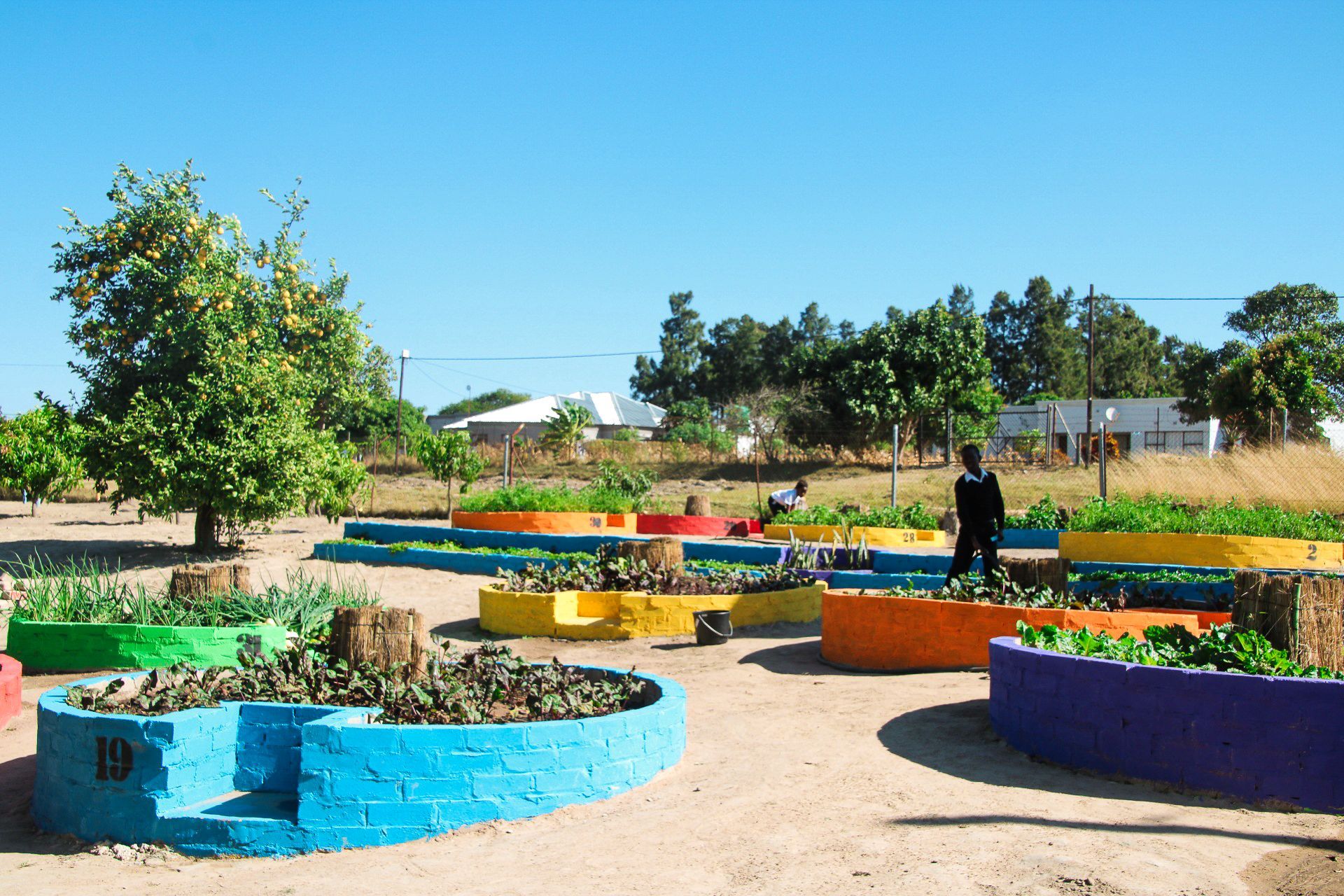 Eco Children Keyhole Gardens