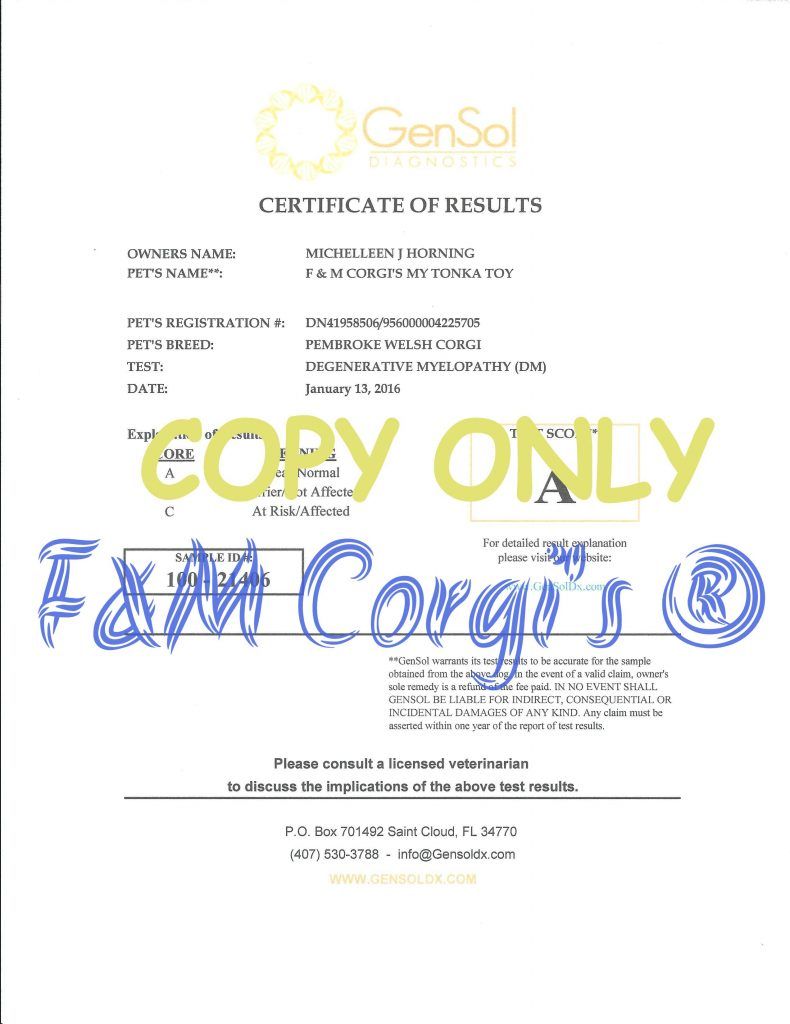 A copy only certificate is written in blue marker on a white background.