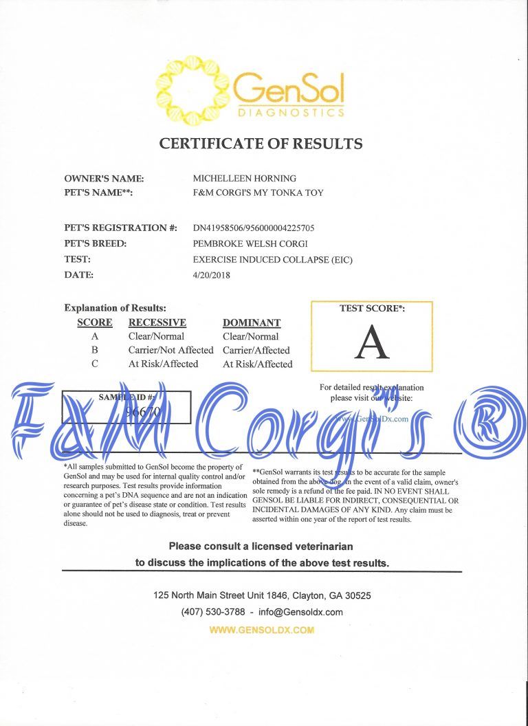 A certificate of results from gensol is written on a piece of paper.