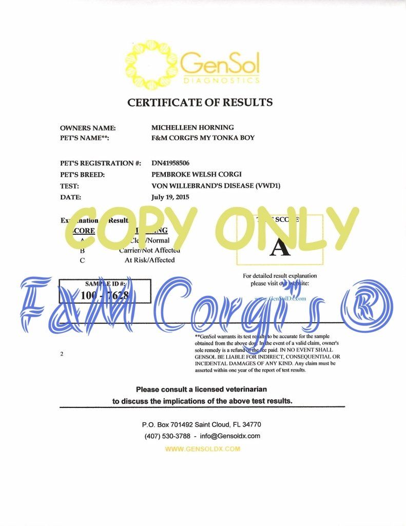 A certificate of results is written in blue marker on a white background.