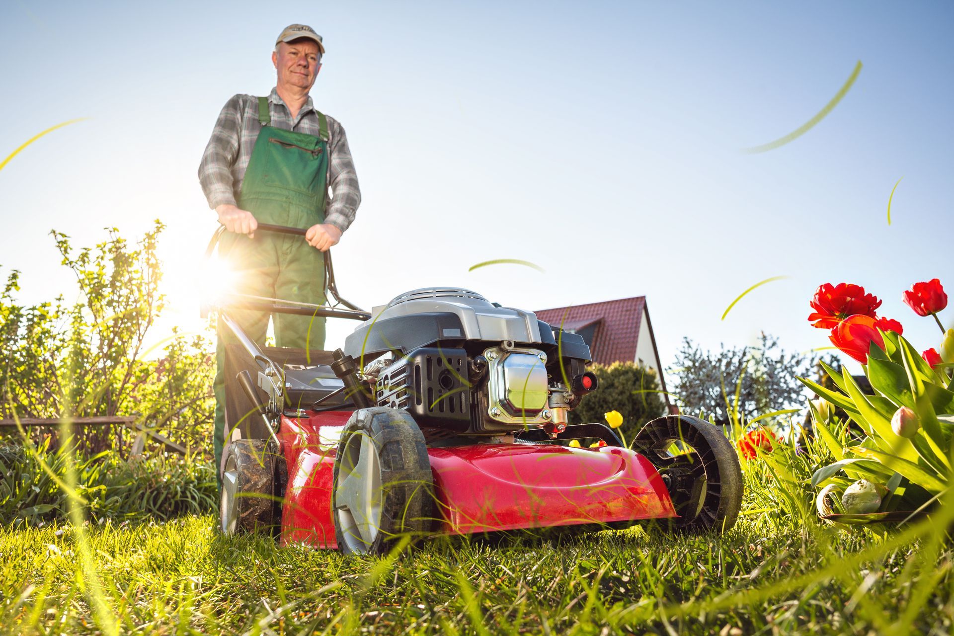 Residential Mower