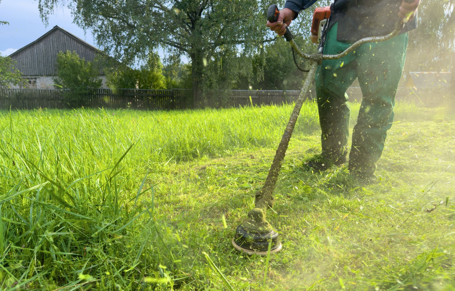 Yard and Landscape Cleaning