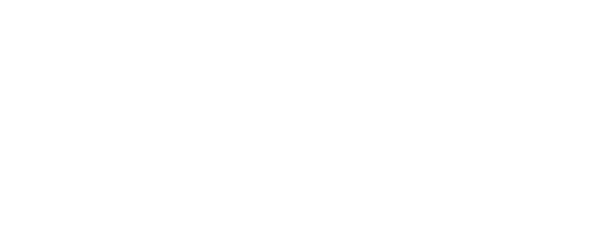 company logo - click to go home