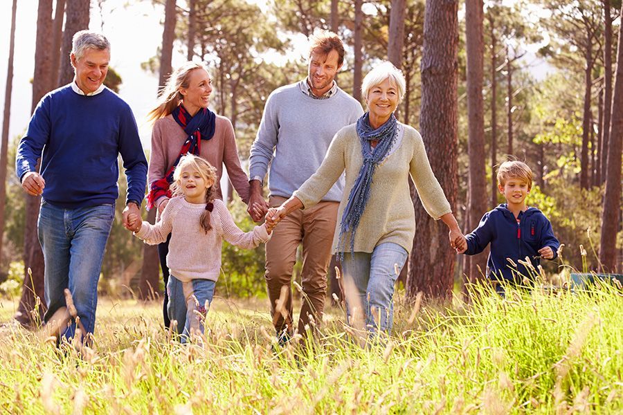 Family walking together through a sunlit grassy park with trees in the background
