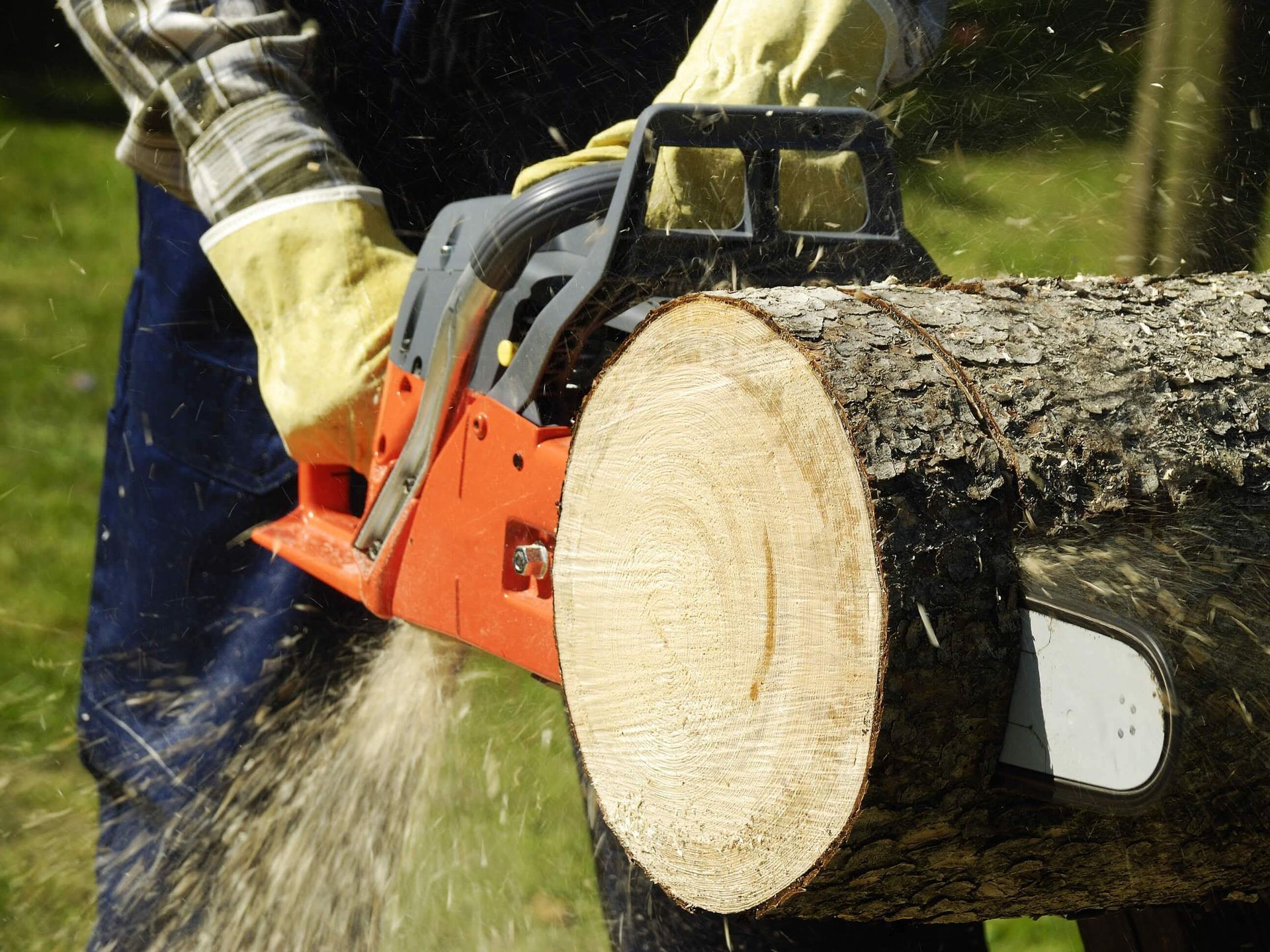 Chainsaw cutting a log, with wood chips flying and gloved hands guiding the saw