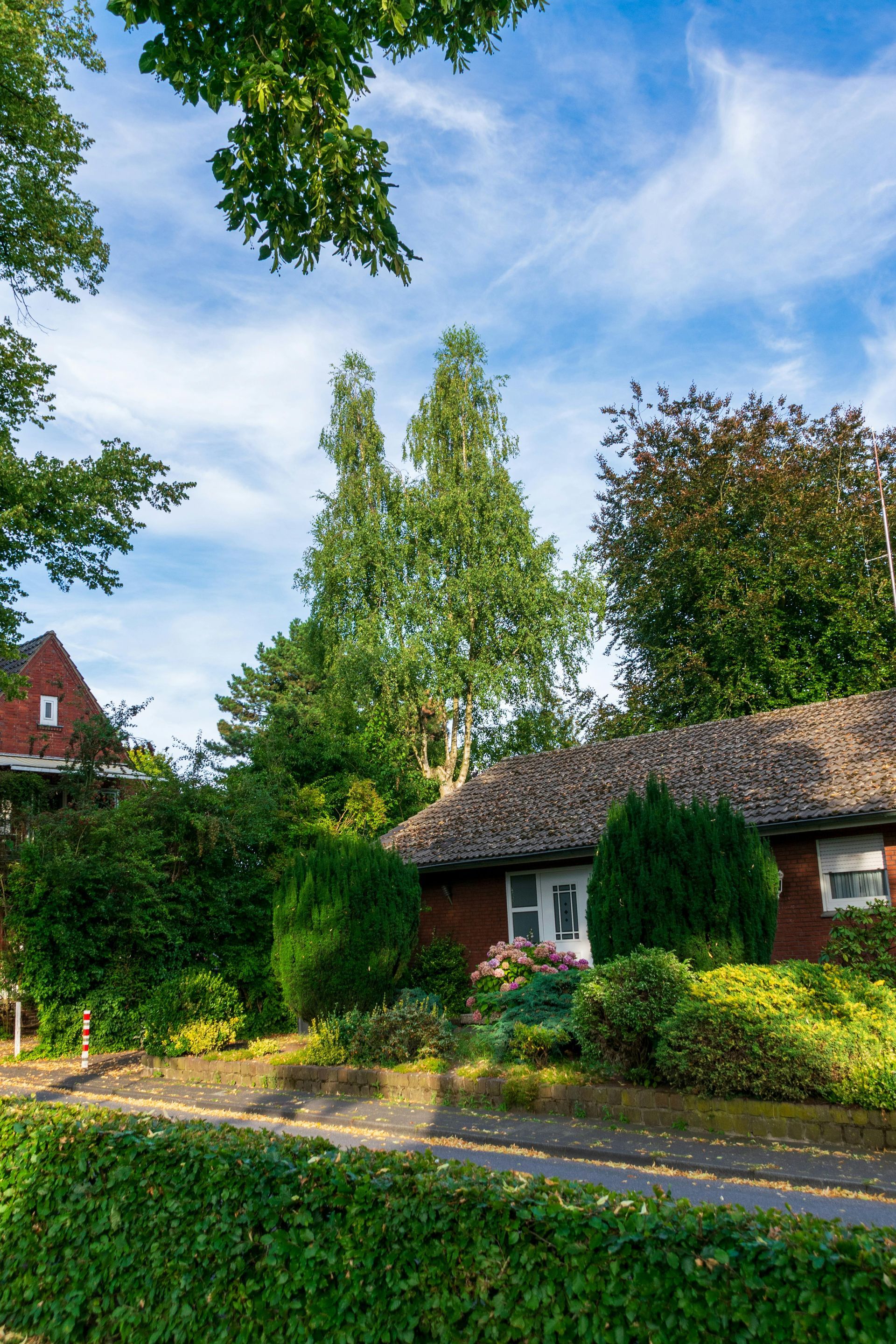 Quiet suburban street with a red-roofed cottage, lush hedges, and tall green trees under a blue sky