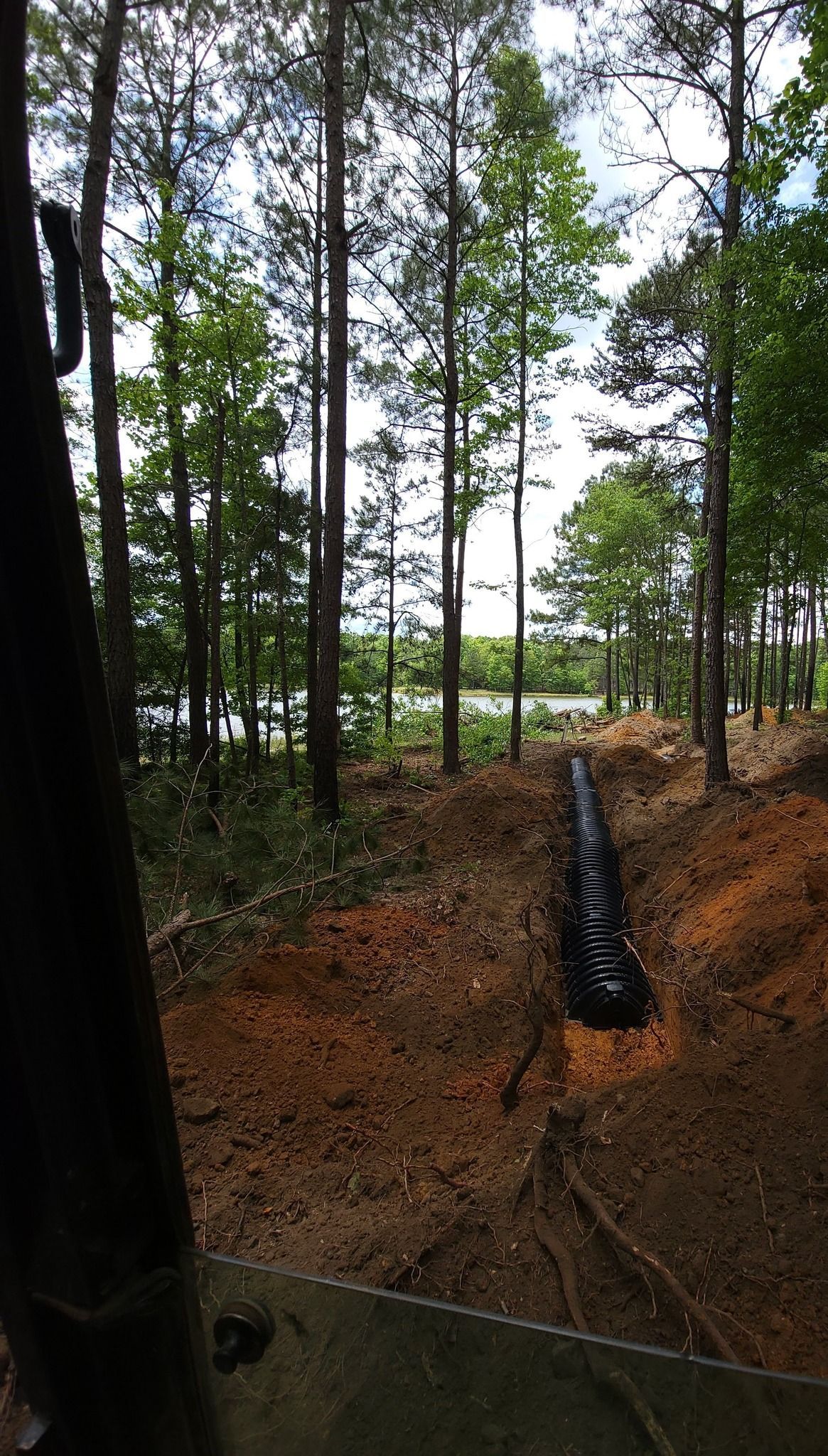 Wooded slope with a black drainage pipe running downhill toward a clearing