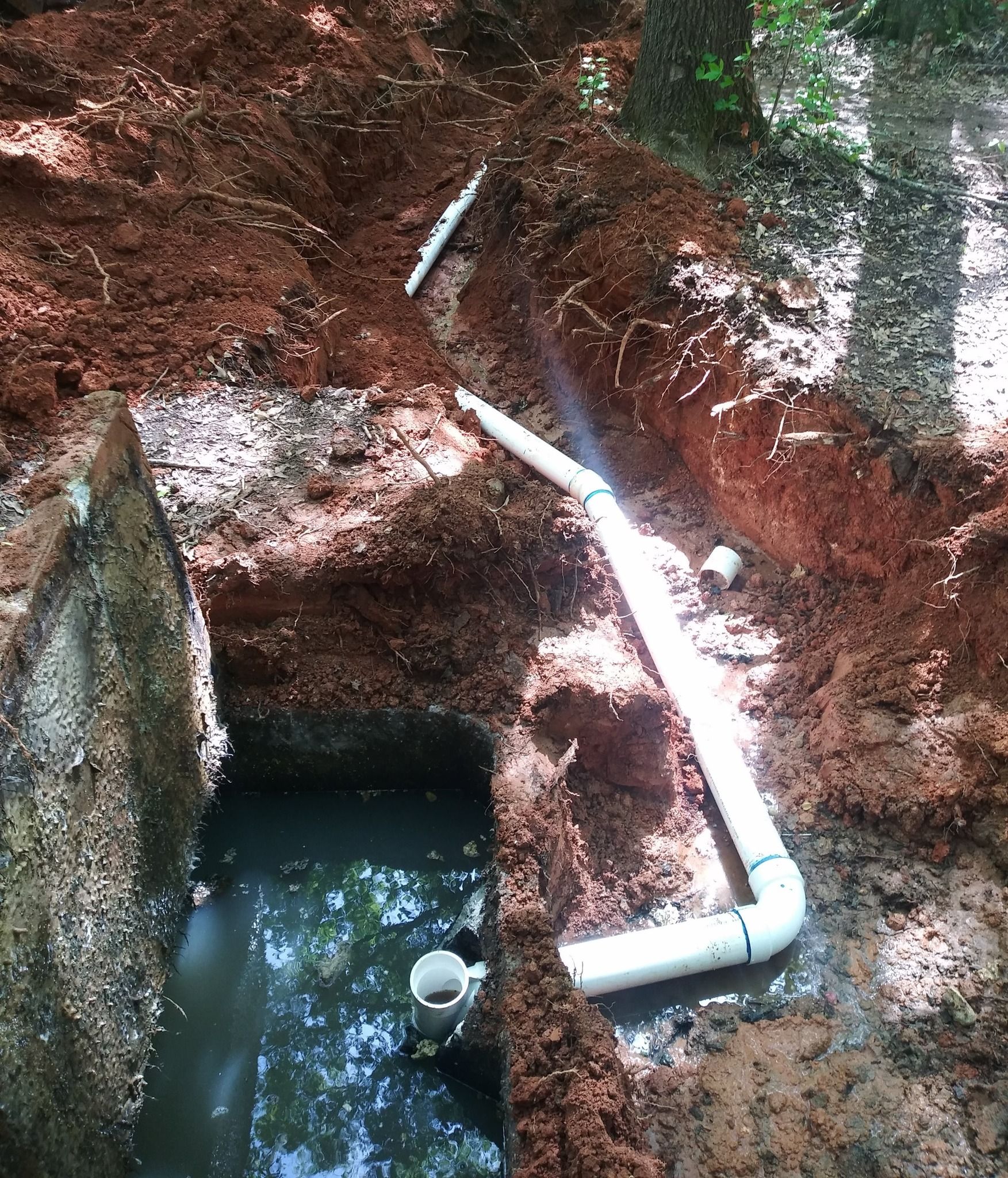 Small muddy water pit with white PVC pipes in a dirt slope, surrounded by trees and roots