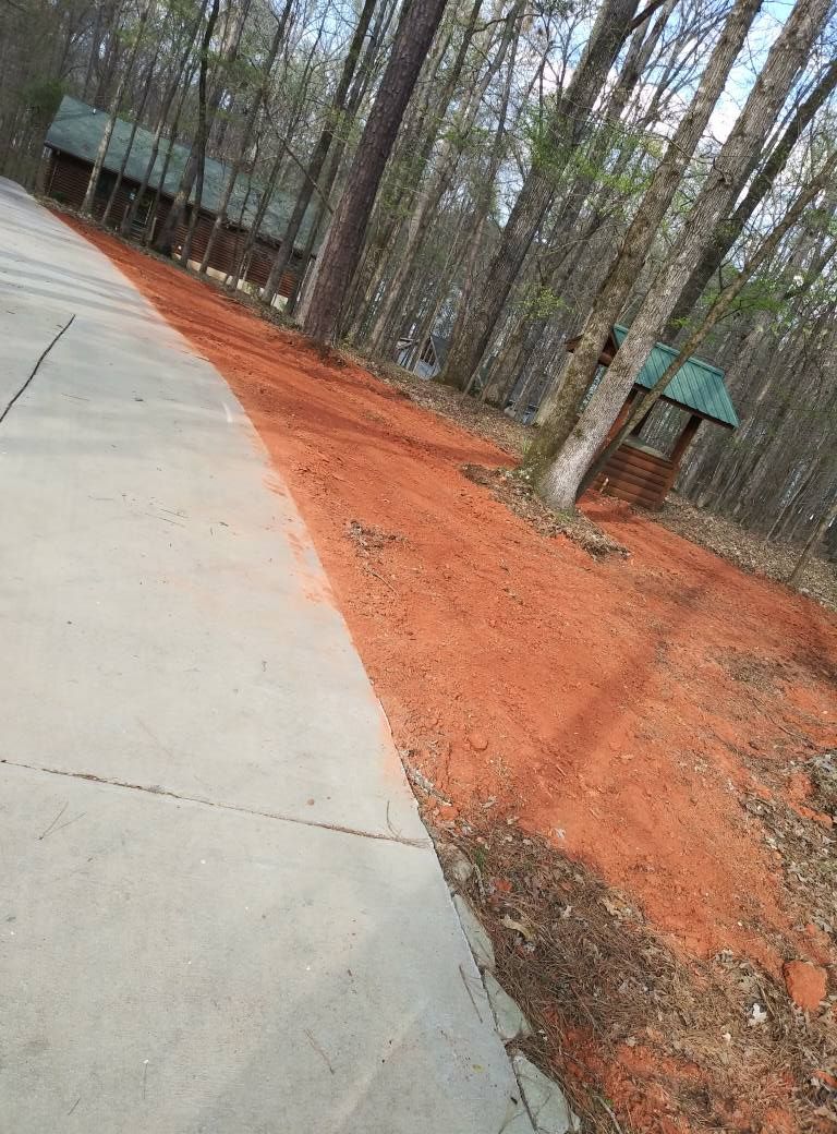 Curved concrete sidewalk beside pine trees and a building, with orange pine straw lining the edge.
