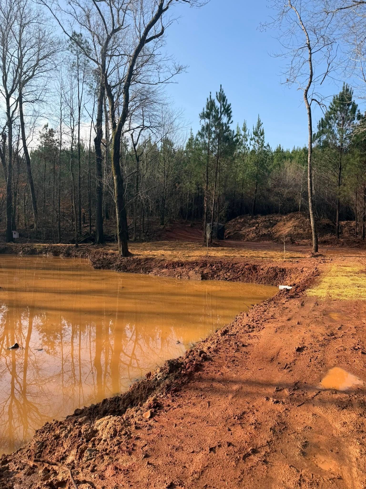Muddy pond beside a dirt road in a wooded area under a clear blue sky