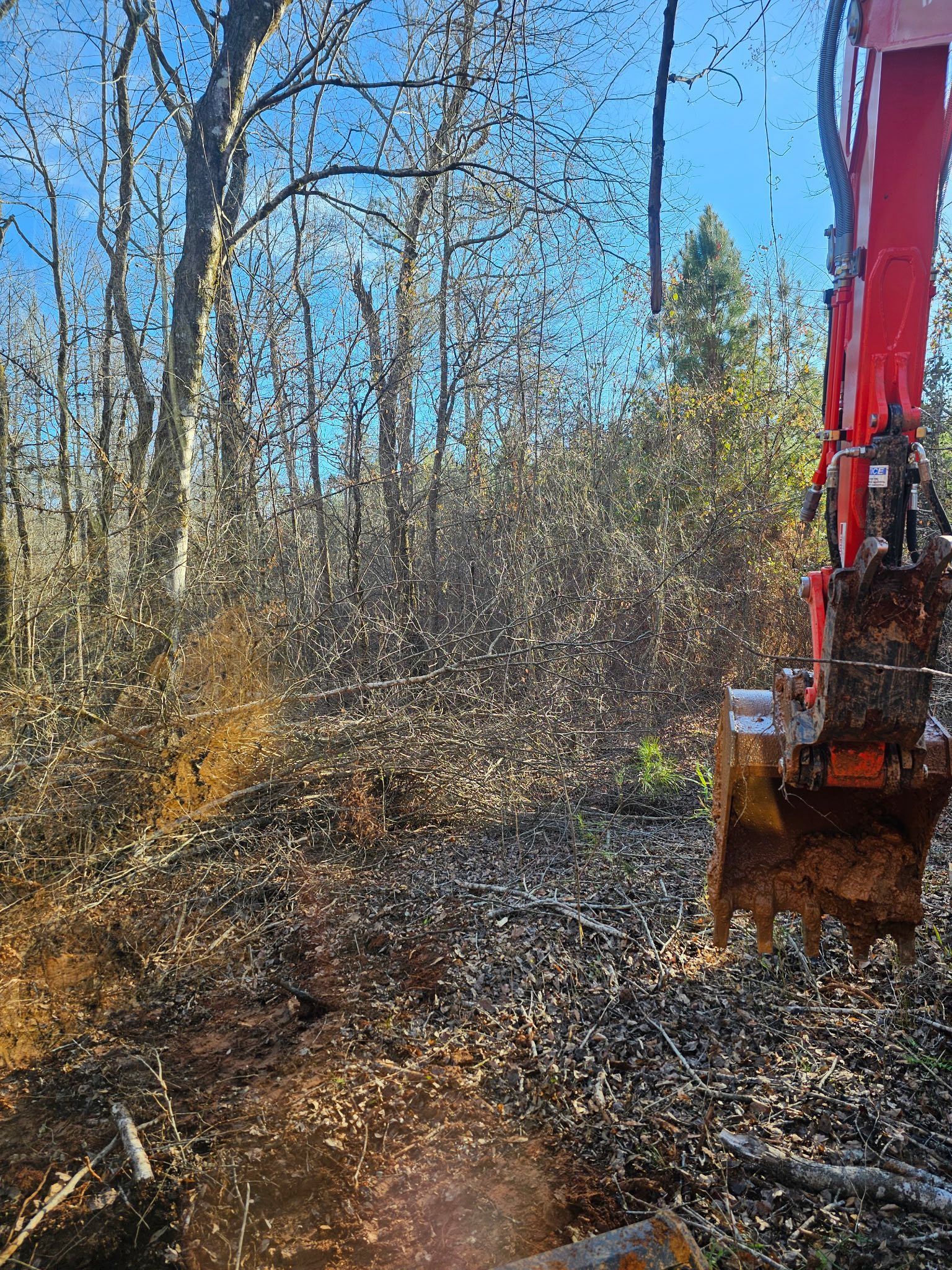 Excavator bucket on a wooded trail, with bare trees and blue sky in the background.