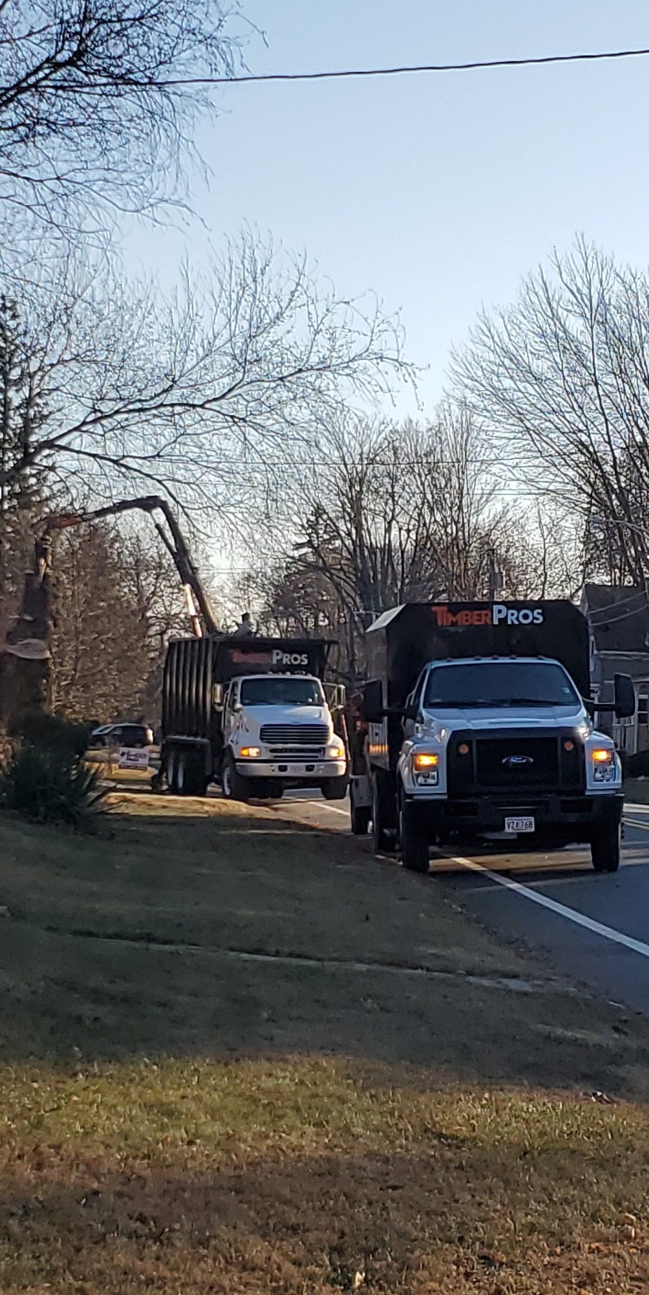 tree removal - tree pruning - crane services - lot clearing - stump grinding - timber pros  - Central MA