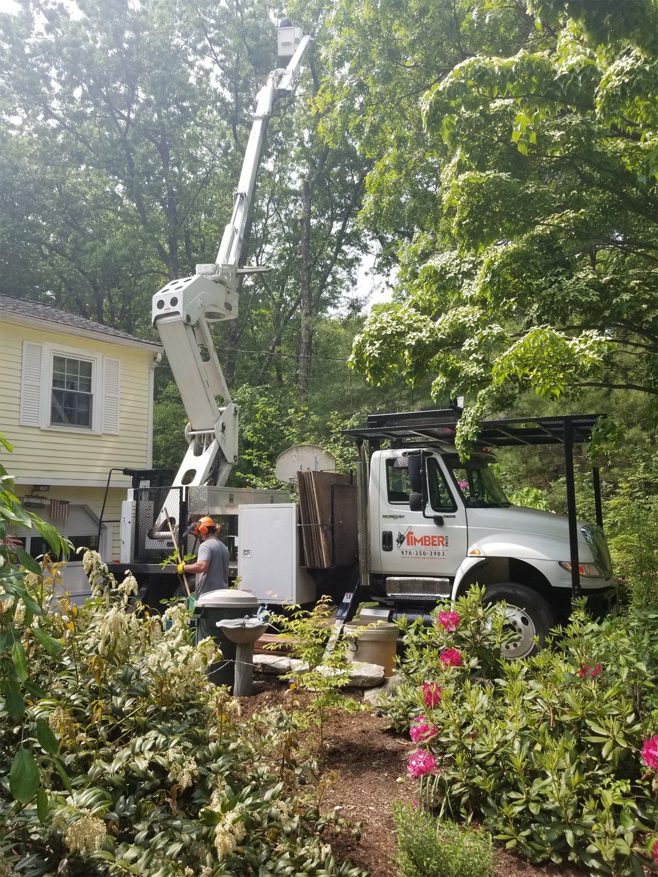 tree removal - tree pruning - crane services - lot clearing - stump grinding - timber pros  - Central MA