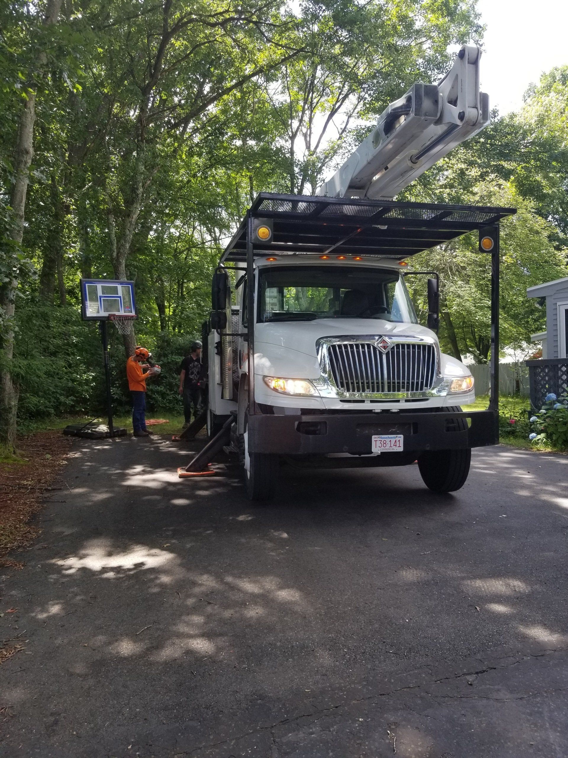 tree removal - tree pruning - crane services - lot clearing - stump grinding - timber pros  - Central MA