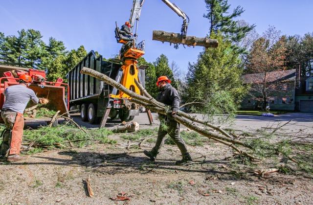 tree removal - tree pruning - crane services - lot clearing - stump grinding - timber pros  - Central MA