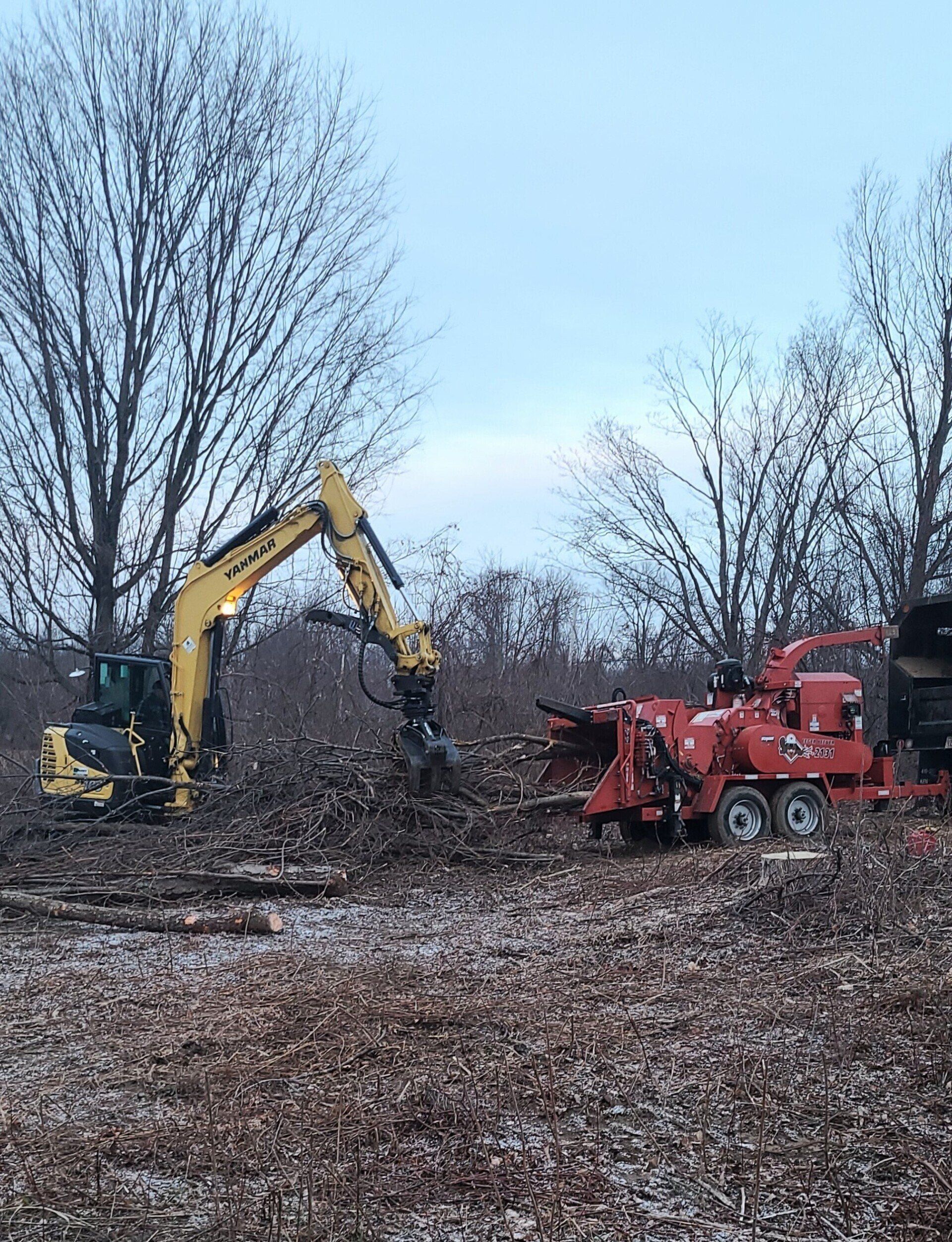 tree removal - tree pruning - crane services - lot clearing - stump grinding - timber pros  - Central MA