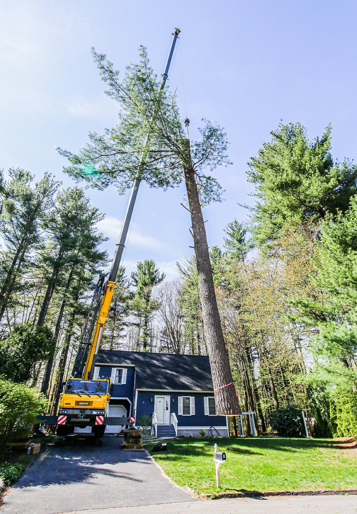 tree removal - tree pruning - crane services - lot clearing - stump grinding - timber pros  - Central MA