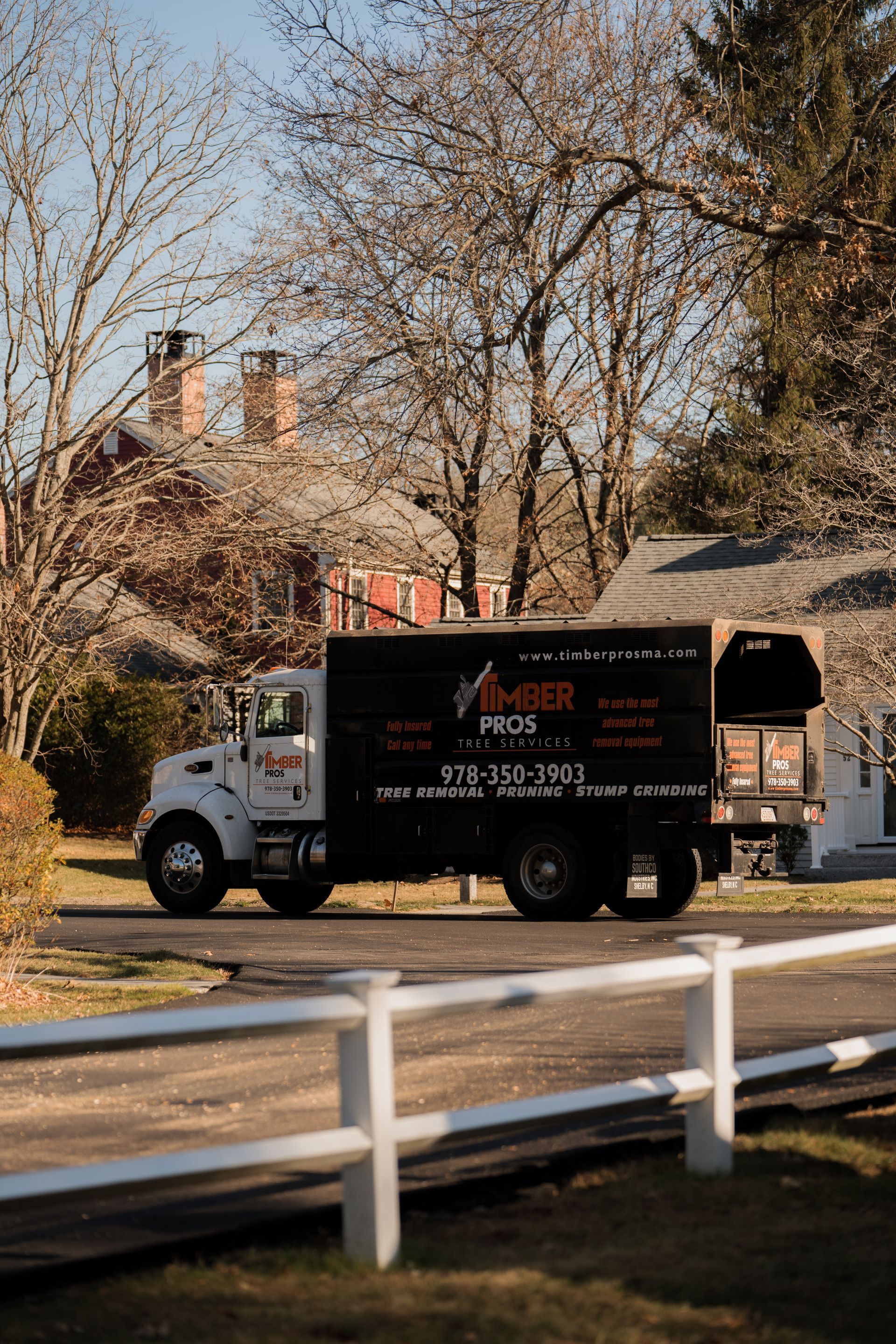tree removal - tree pruning - crane services - lot clearing - hazardous tree removal  - timber pros - near me