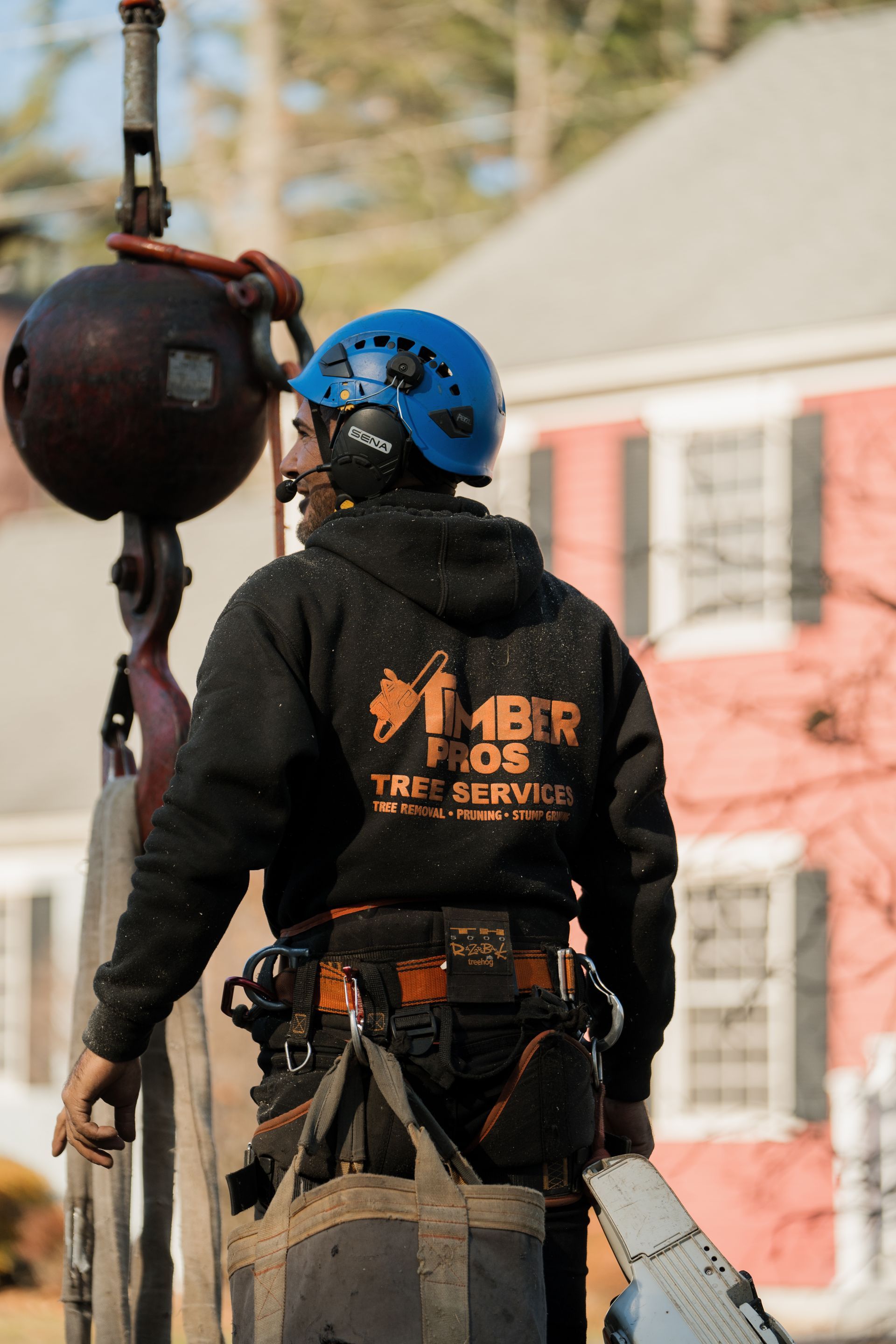 tree removal - tree pruning - crane services - lot clearing - hazardous tree removal  - timber pros - near me
