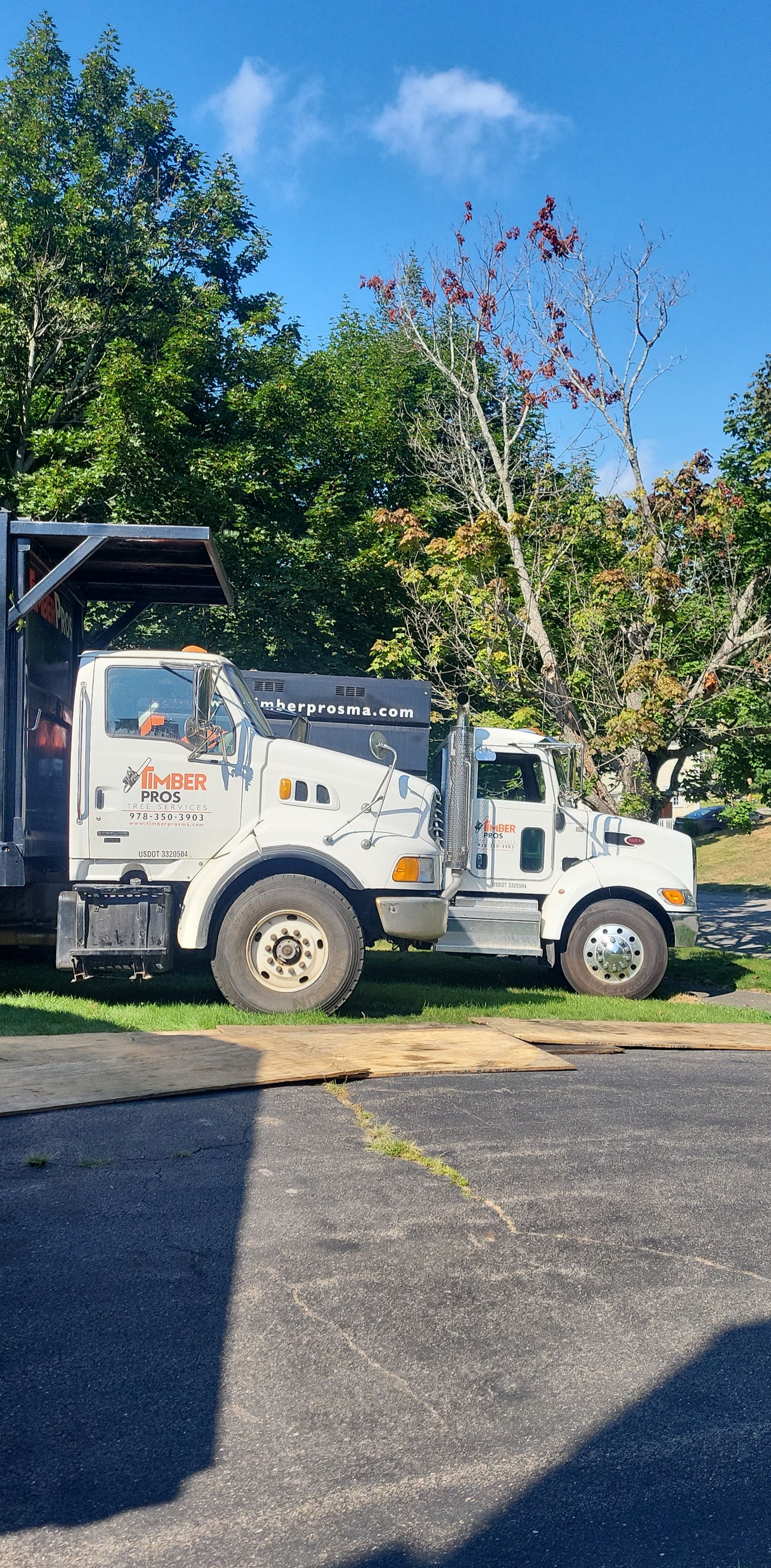 tree removal - tree pruning - crane services - lot clearing - hazardous tree removal  - timber pros - near me - Central MA