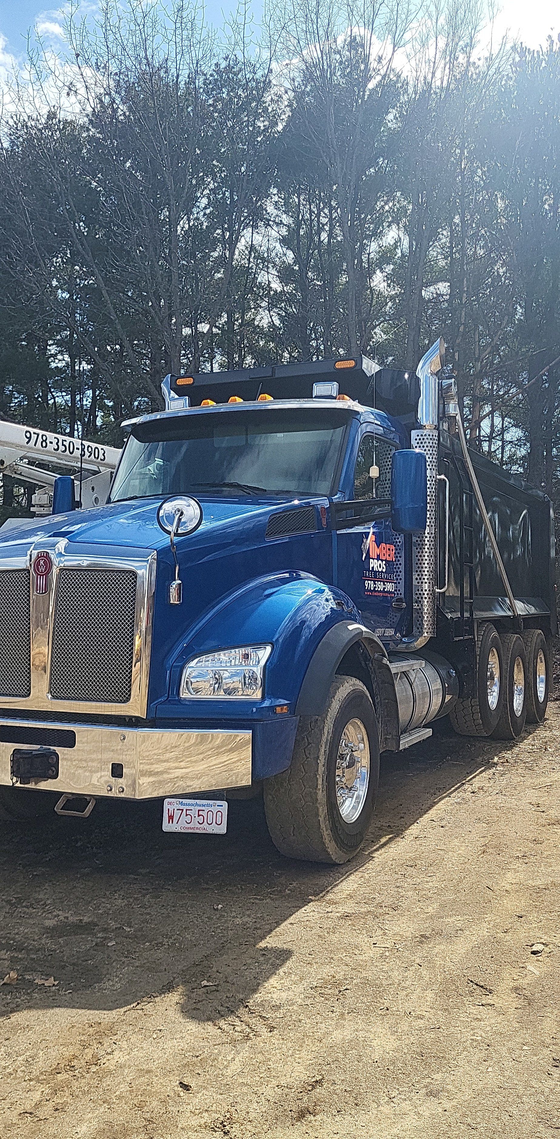 tree removal - tree pruning - crane services - lot clearing - hazardous tree removal  - timber pros - near me - Central MA