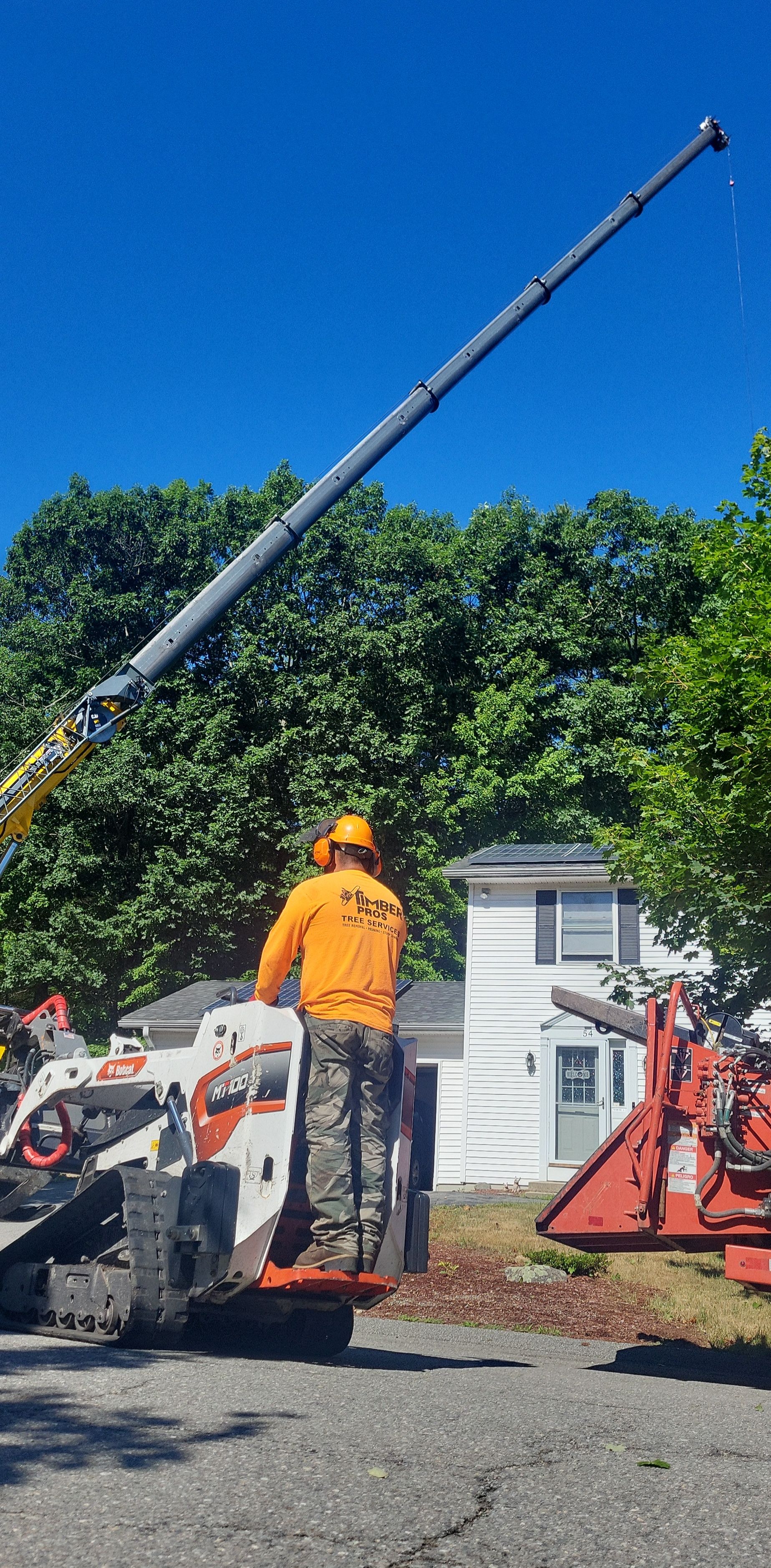 tree removal - tree pruning - crane services - lot clearing - hazardous tree removal  - timber pros - near me - Central MA
