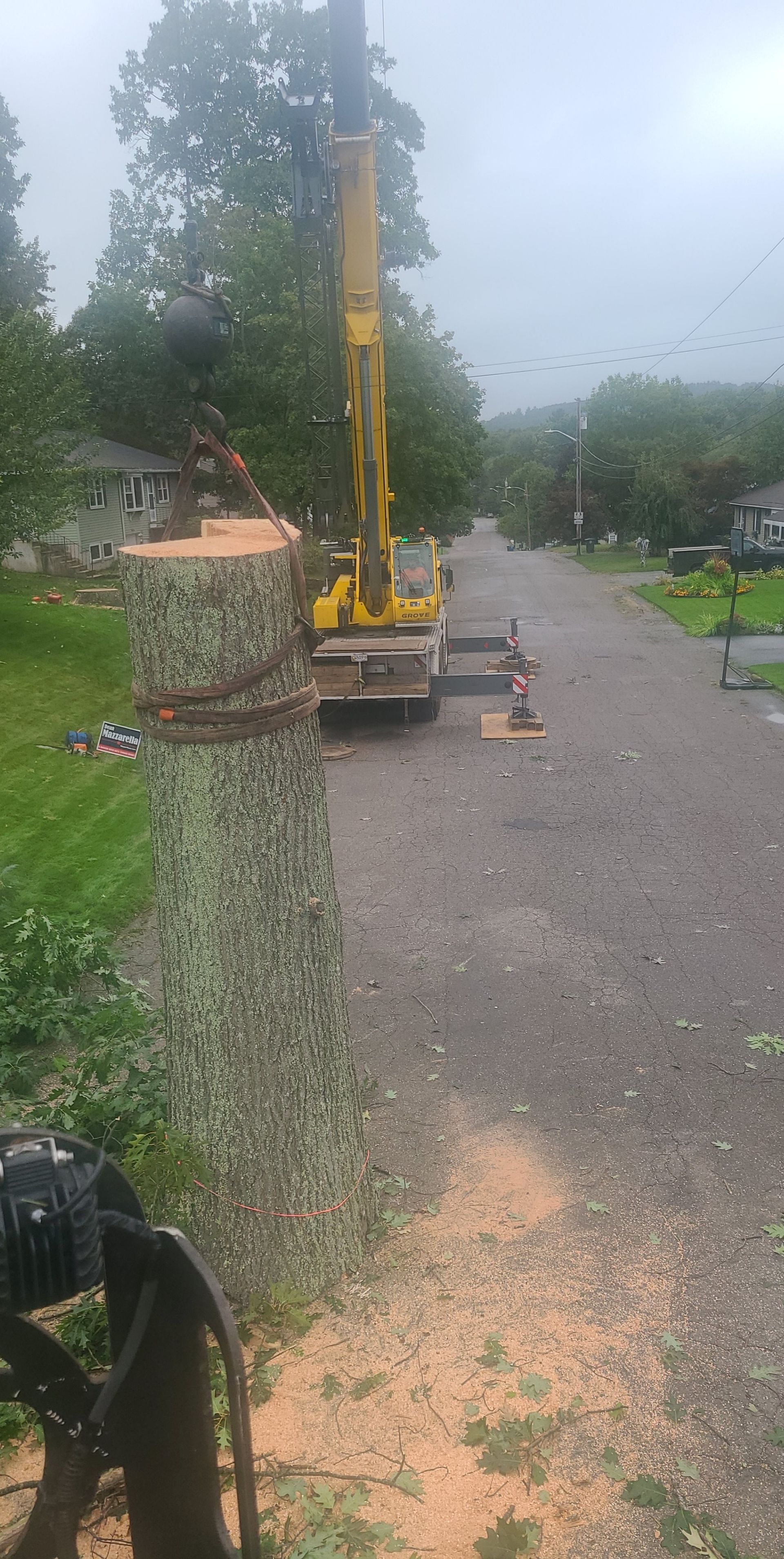 tree removal - tree pruning - crane services - lot clearing - hazardous tree removal  - timber pros - near me - Central MA