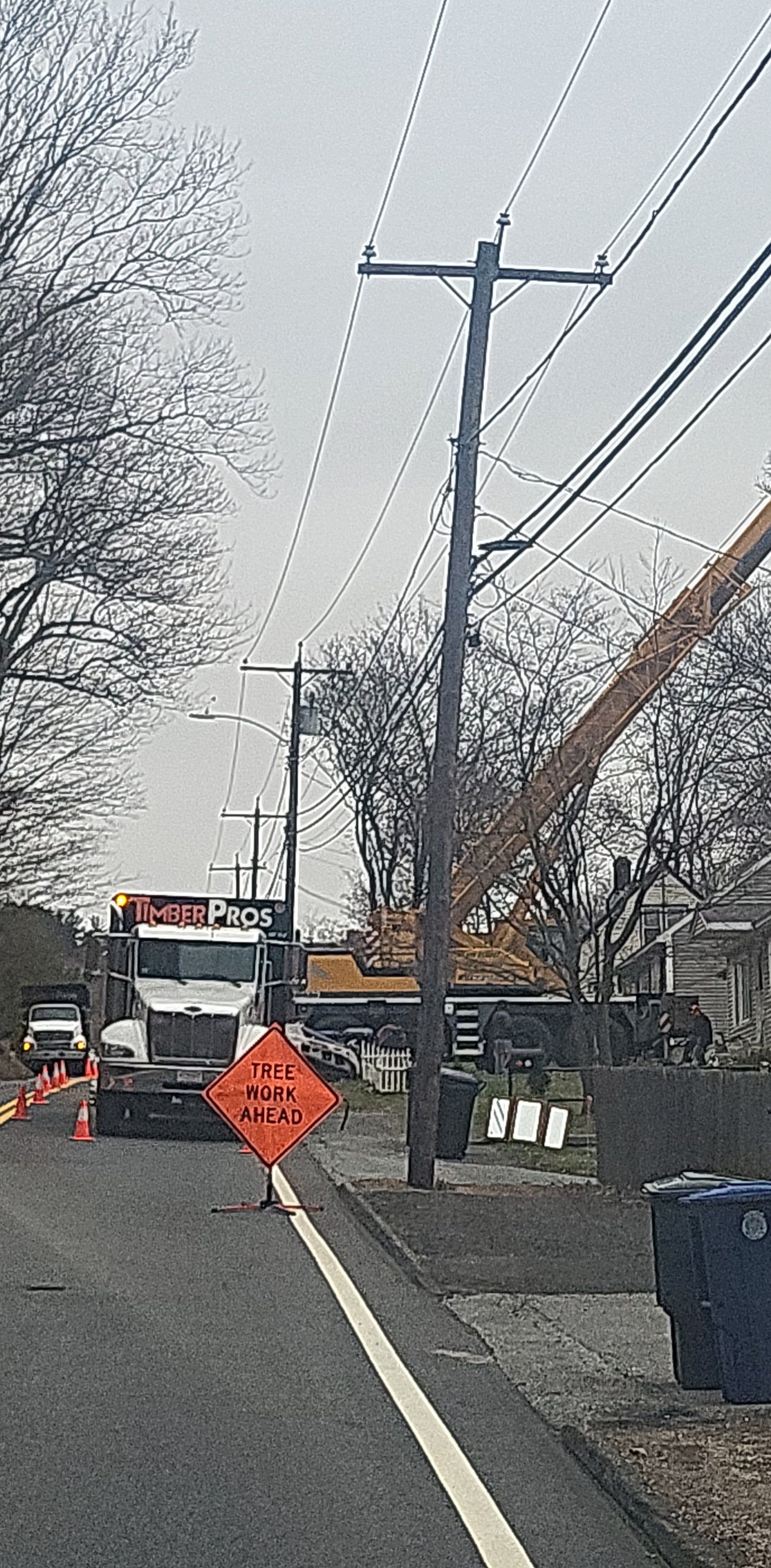 tree removal - tree pruning - crane services - lot clearing - hazardous tree removal  - timber pros - near me - Central MA