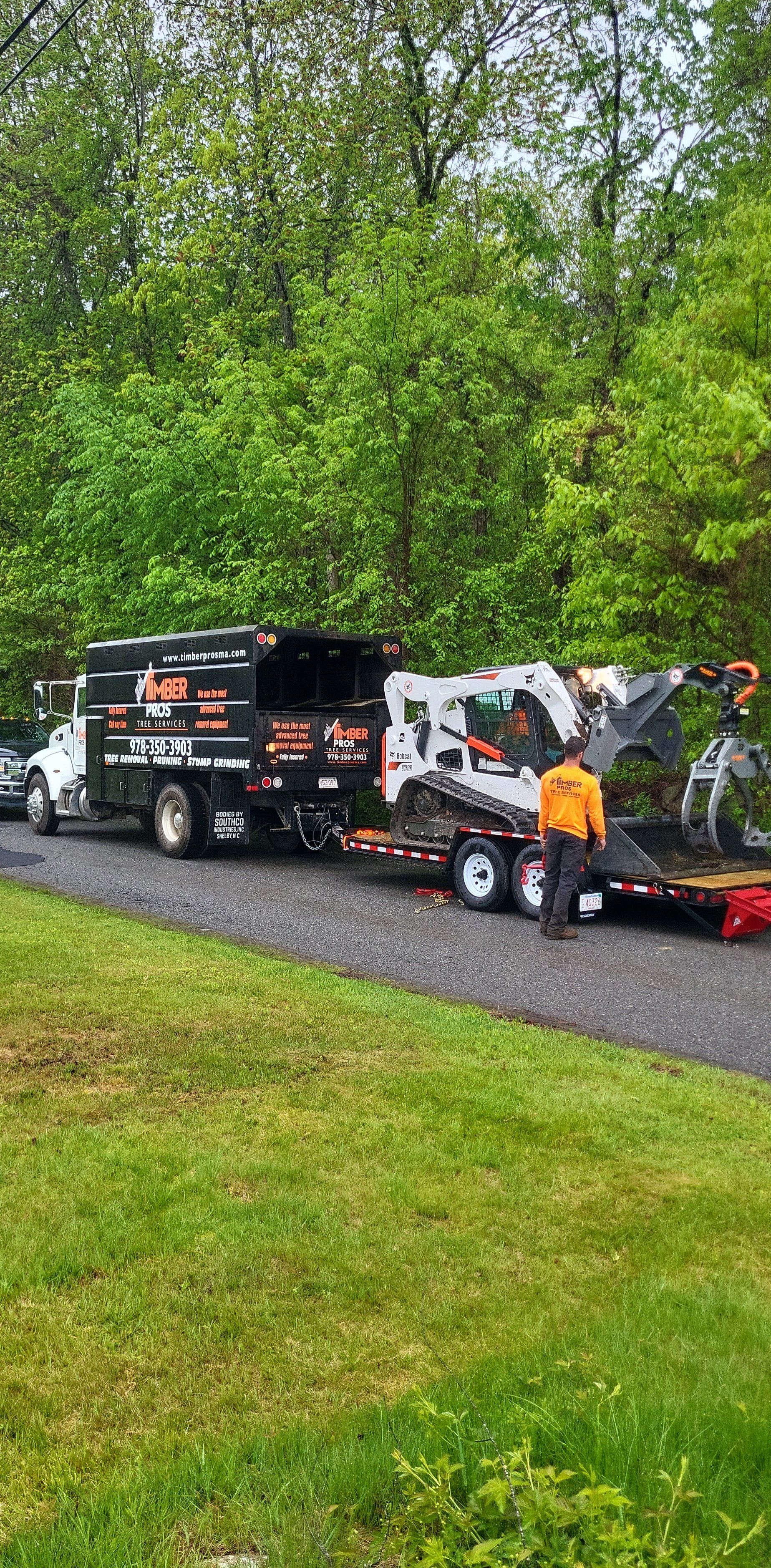 tree removal - tree pruning - crane services - lot clearing - hazardous tree removal  - timber pros - near me - Central MA