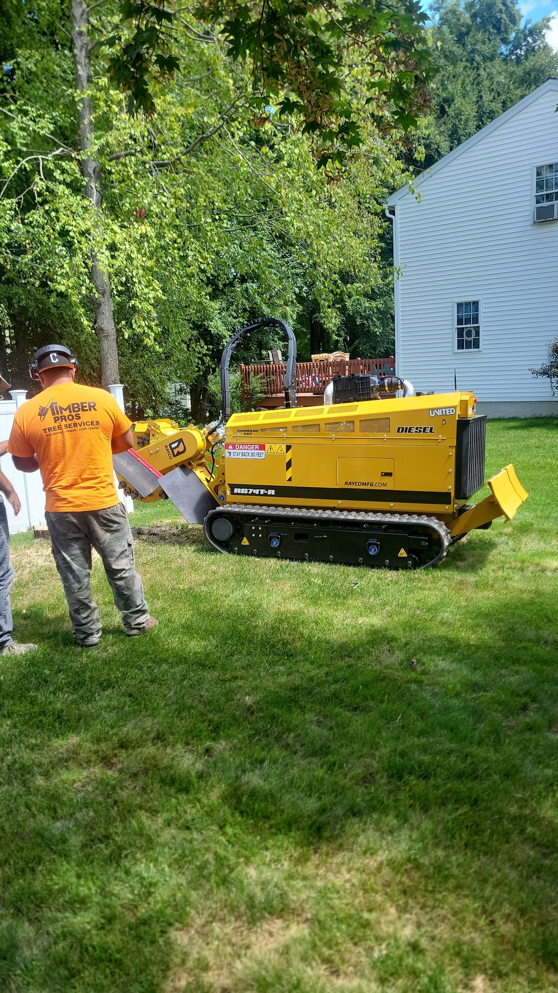 tree removal - tree pruning - crane services - lot clearing - hazardous tree removal  - timber pros - near me