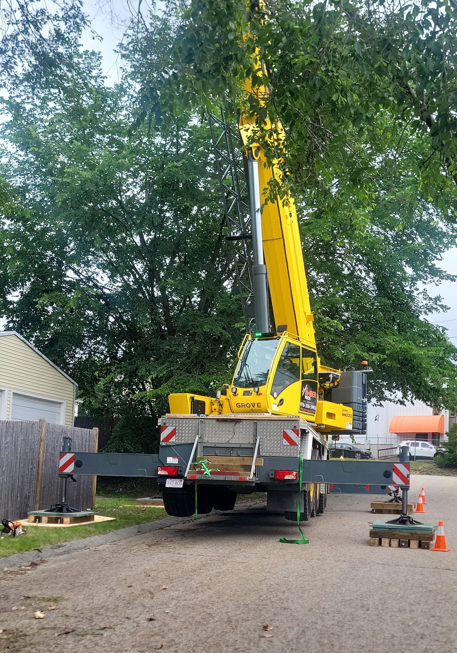 crane service near me - tree removal