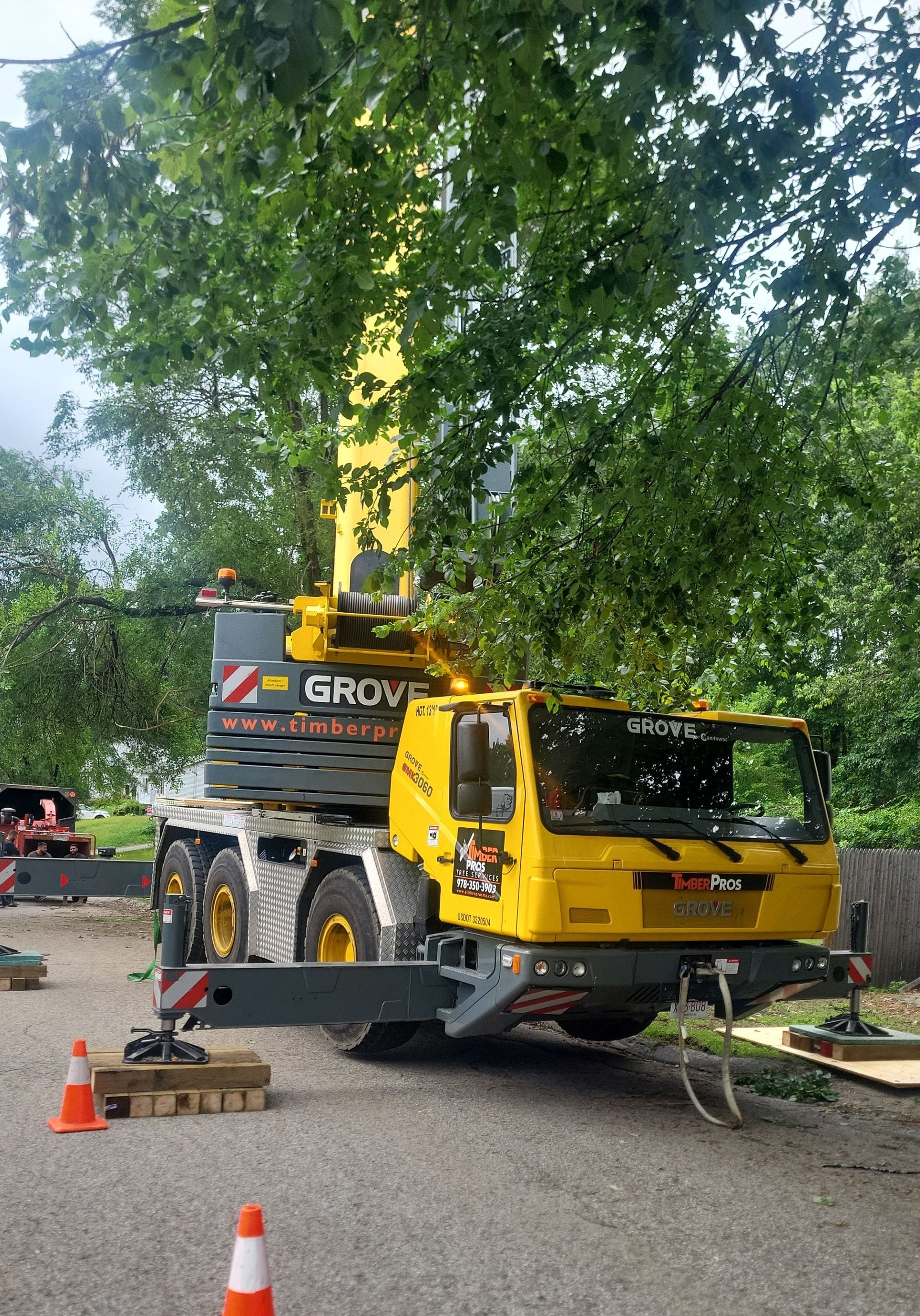 tree removal - tree pruning - crane services - lot clearing - hazardous tree removal  - timber pros - near me - Central MA