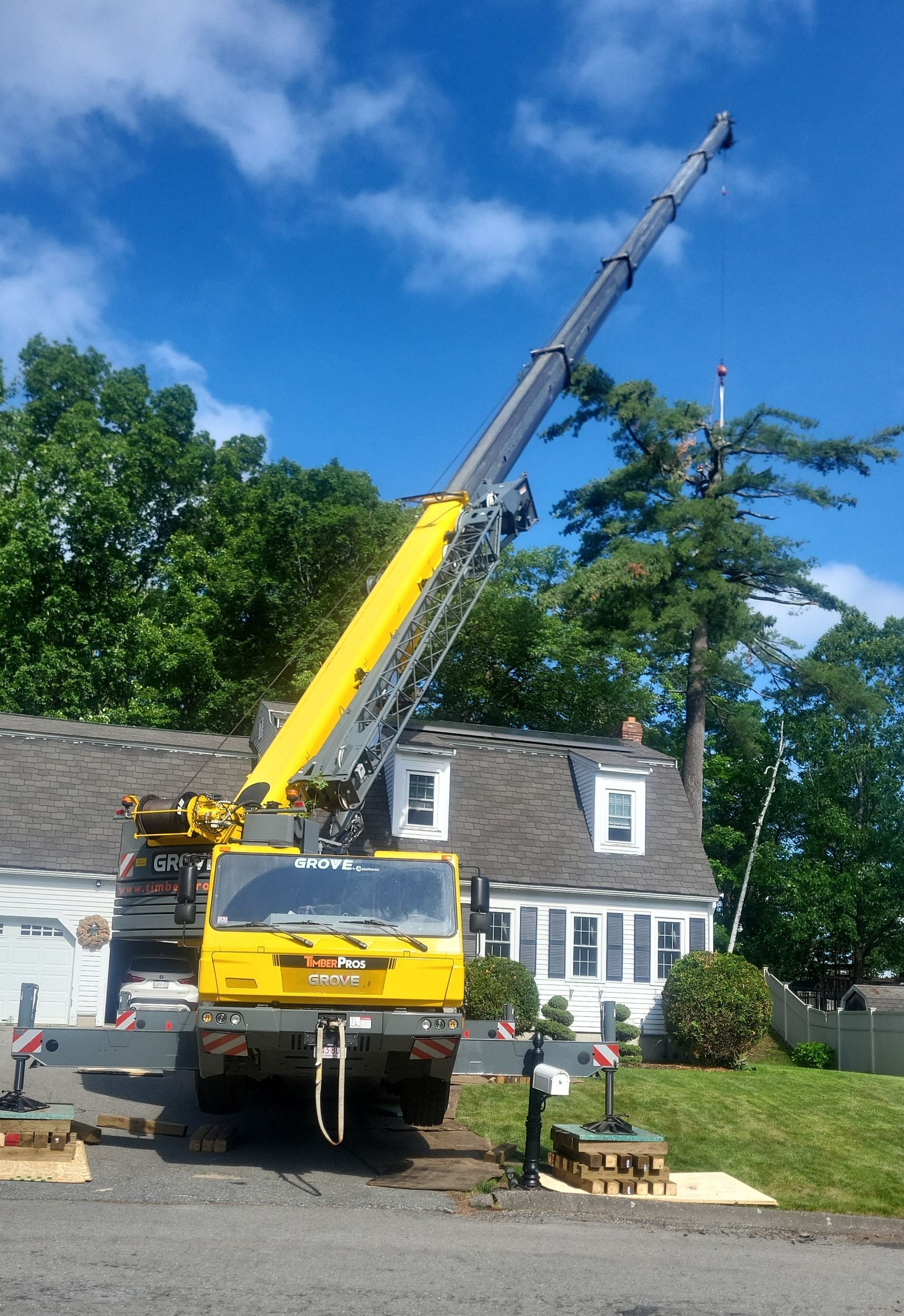 crane service near me - tree removal