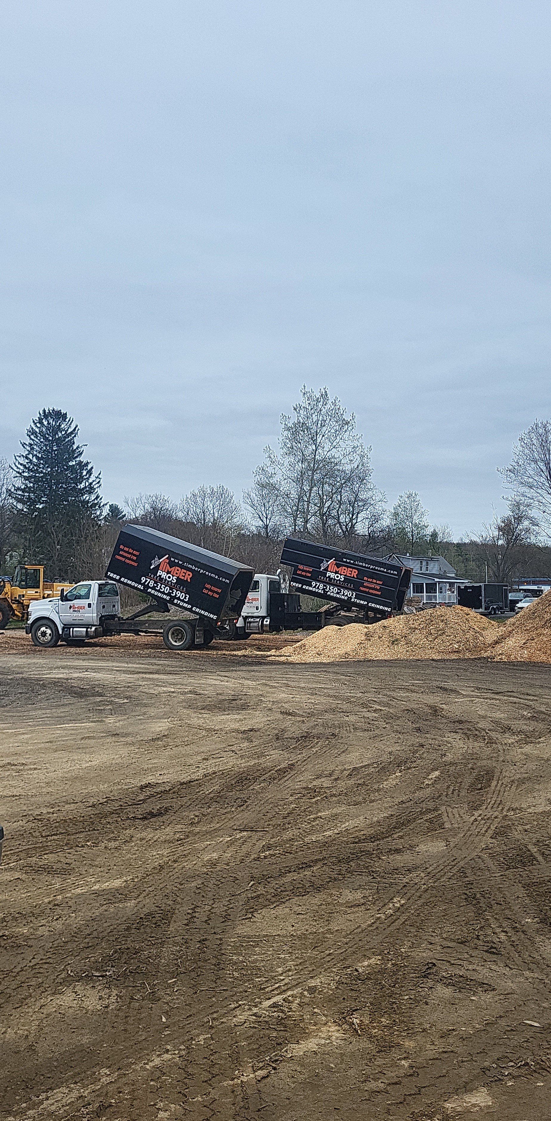 tree removal - tree pruning - crane services - lot clearing - hazardous tree removal  - timber pros - near me - Central MA