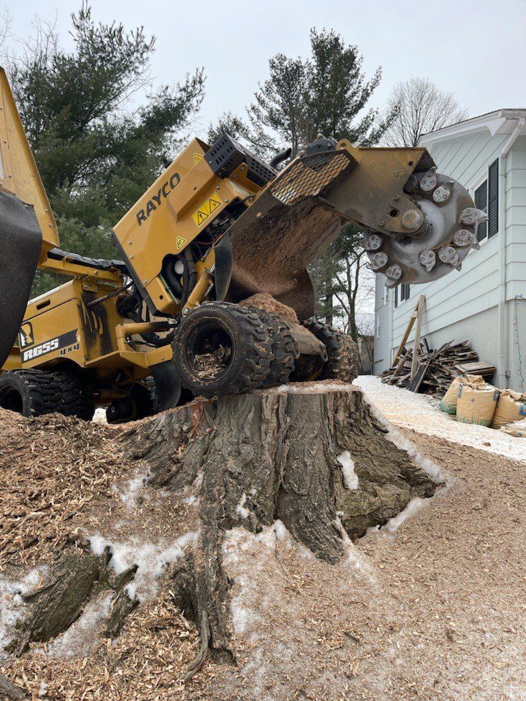 tree removal - tree pruning - crane services - lot clearing - hazardous tree removal  - timber pros - near me - Central MA