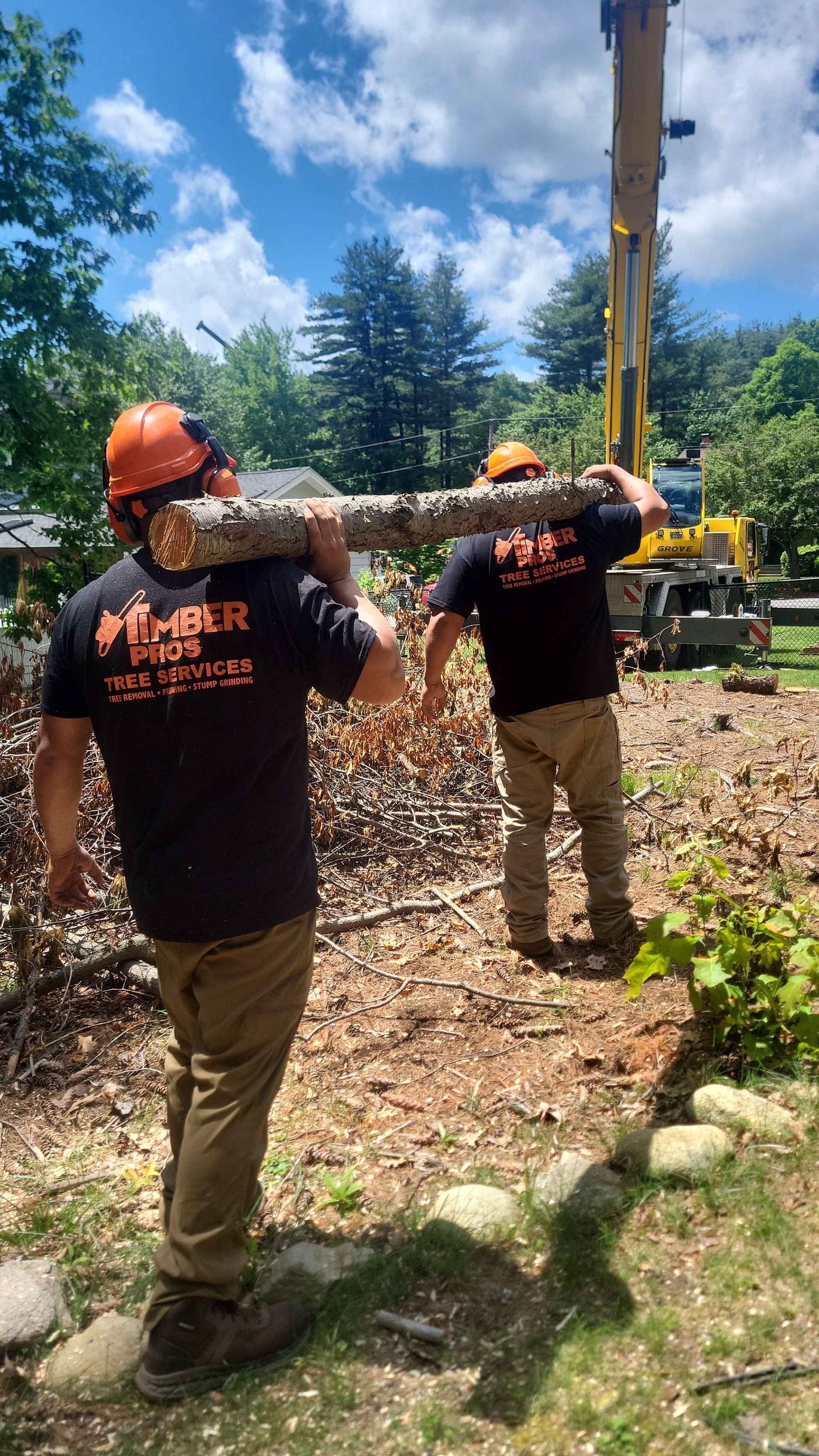 tree removal - tree pruning - crane services - lot clearing - hazardous tree removal  - timber pros - near me