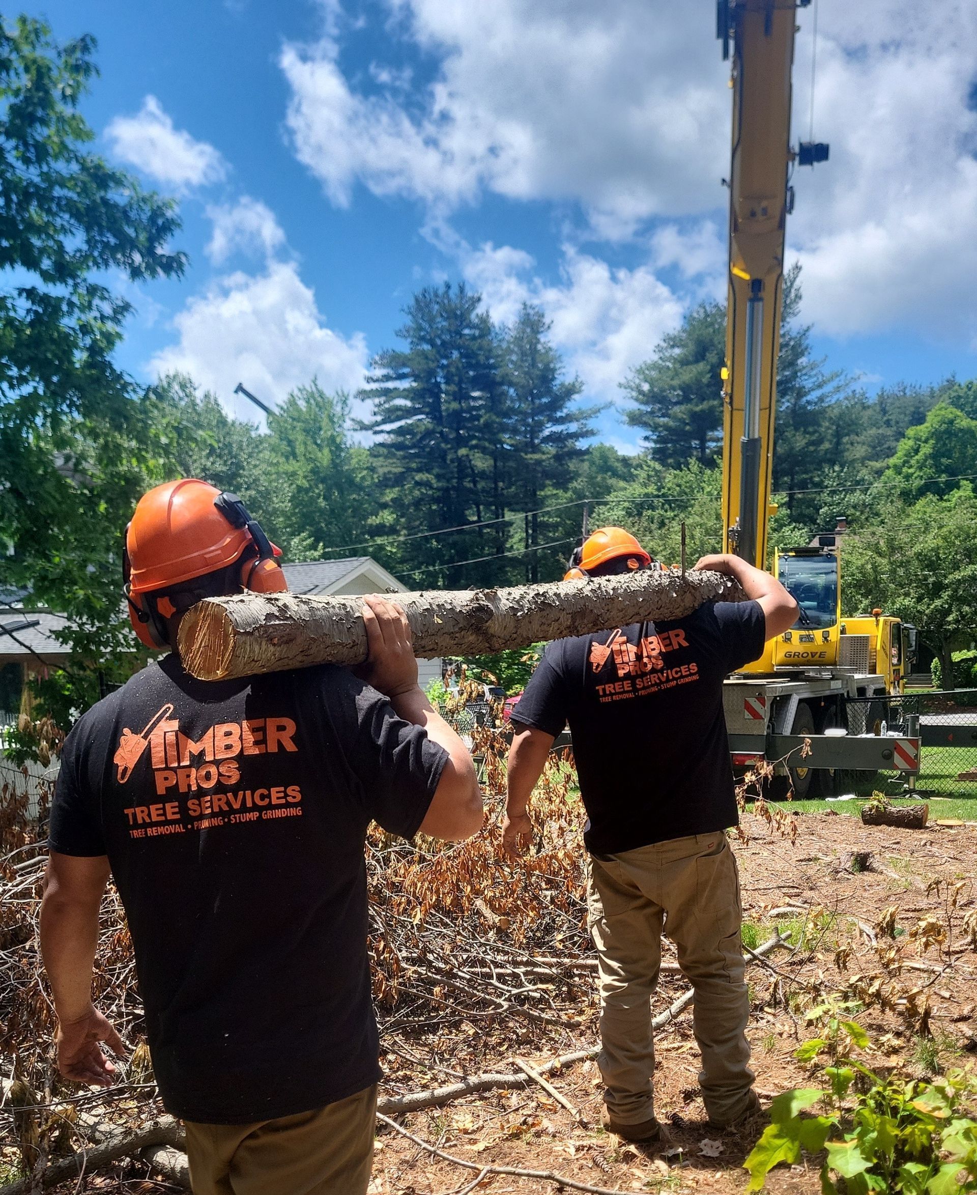 tree services - crane services - tree removal near me