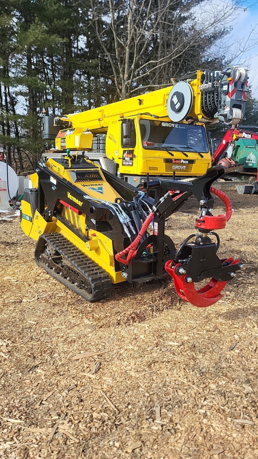 tree removal - tree pruning - crane services - lot clearing - hazardous tree removal  - timber pros - near me