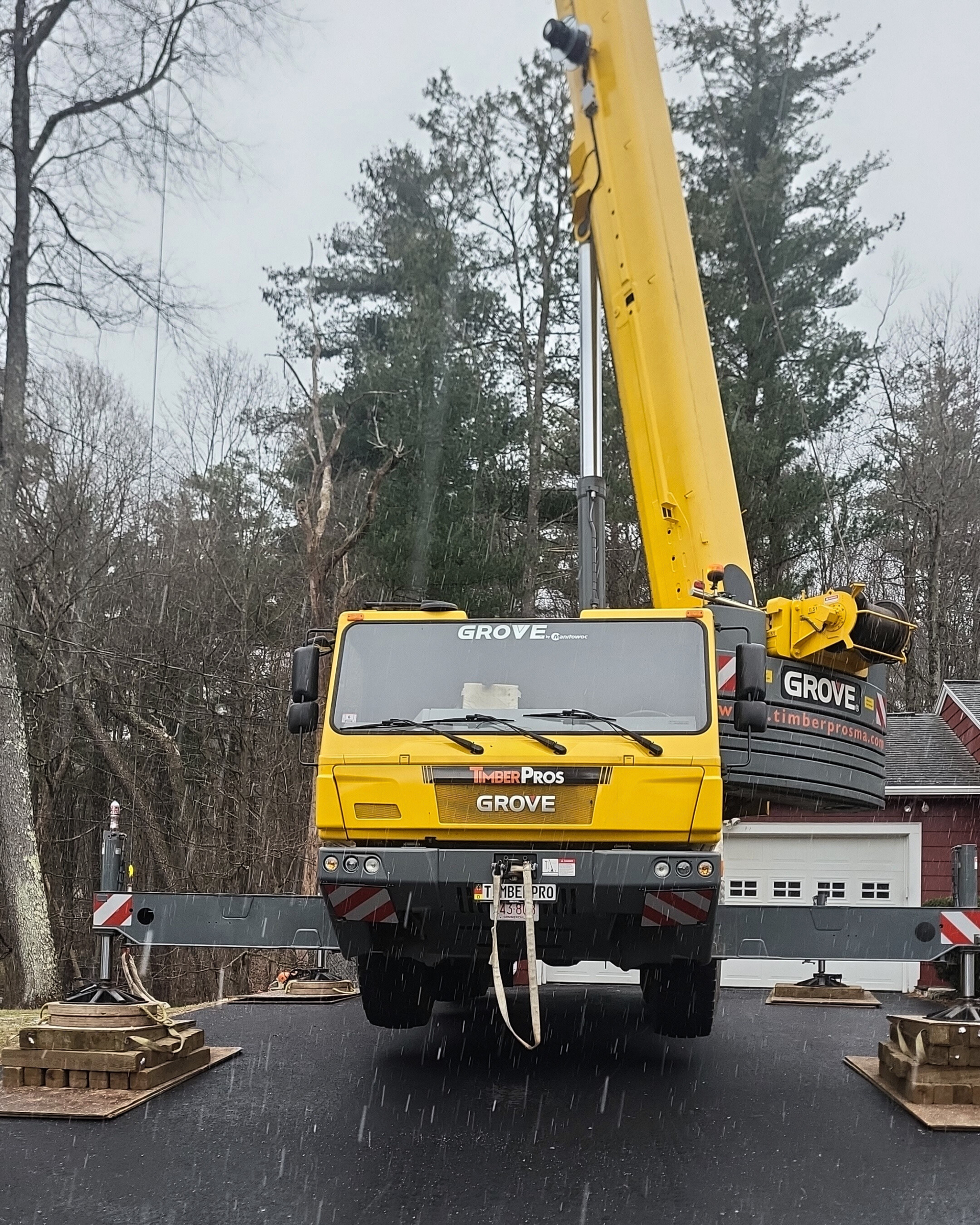 tree removal - tree pruning - crane services - lot clearing - hazardous tree removal  - timber pros - near me