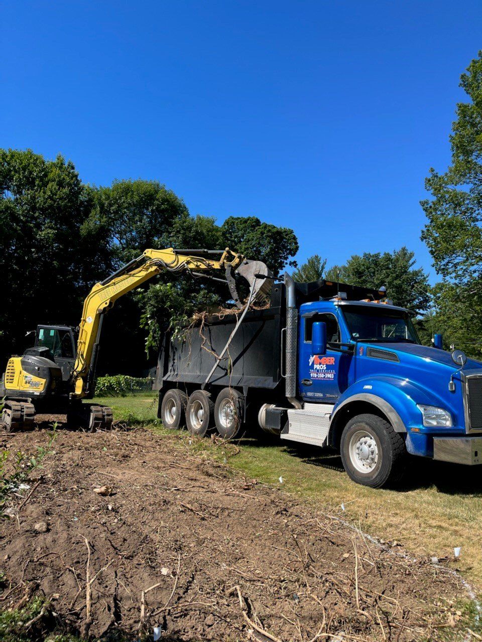 tree removal - tree pruning - crane services - lot clearing - hazardous tree removal  - timber pros - near me - Central MA