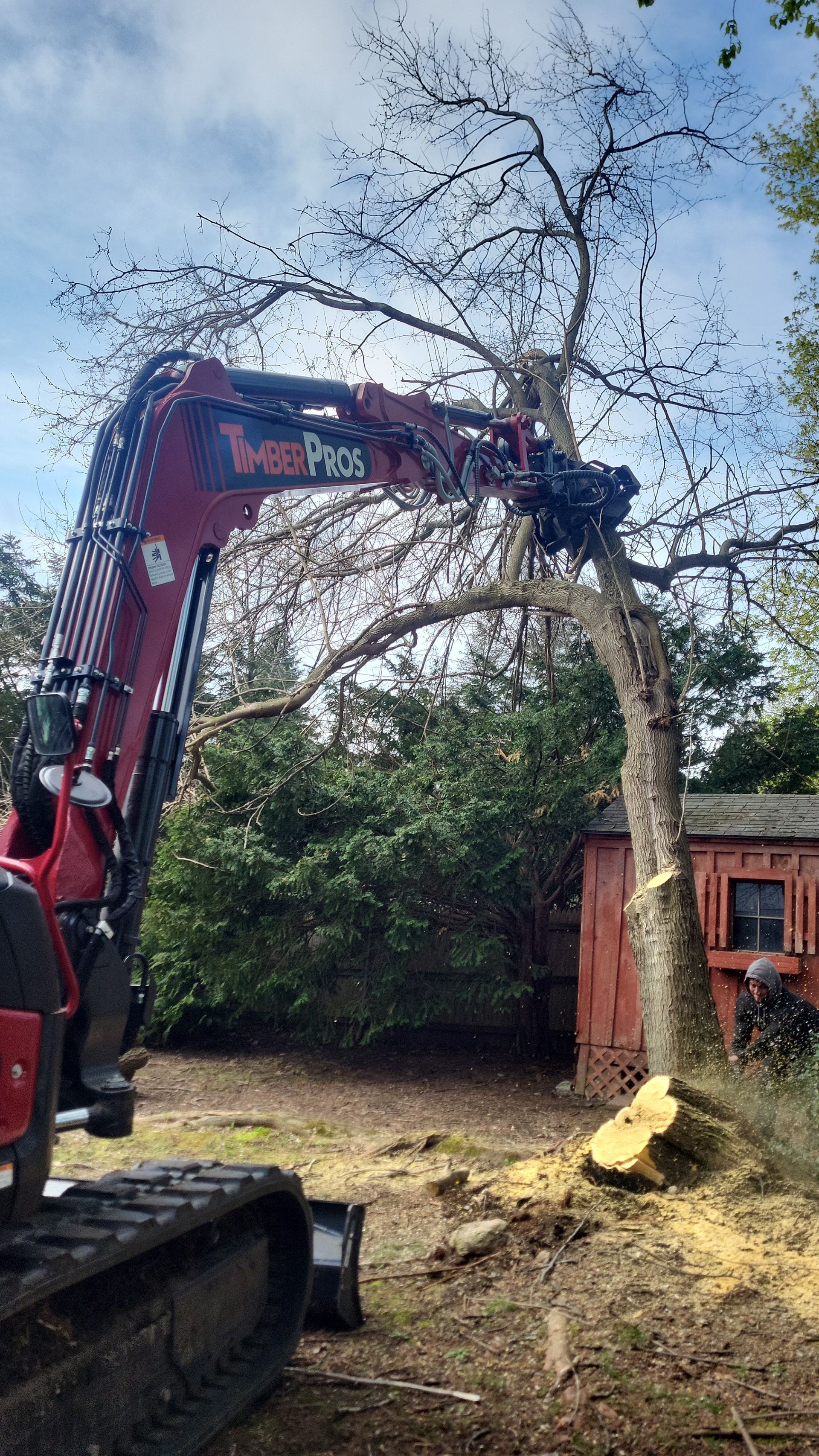 tree removal - tree pruning - crane services - lot clearing - hazardous tree removal  - timber pros - near me