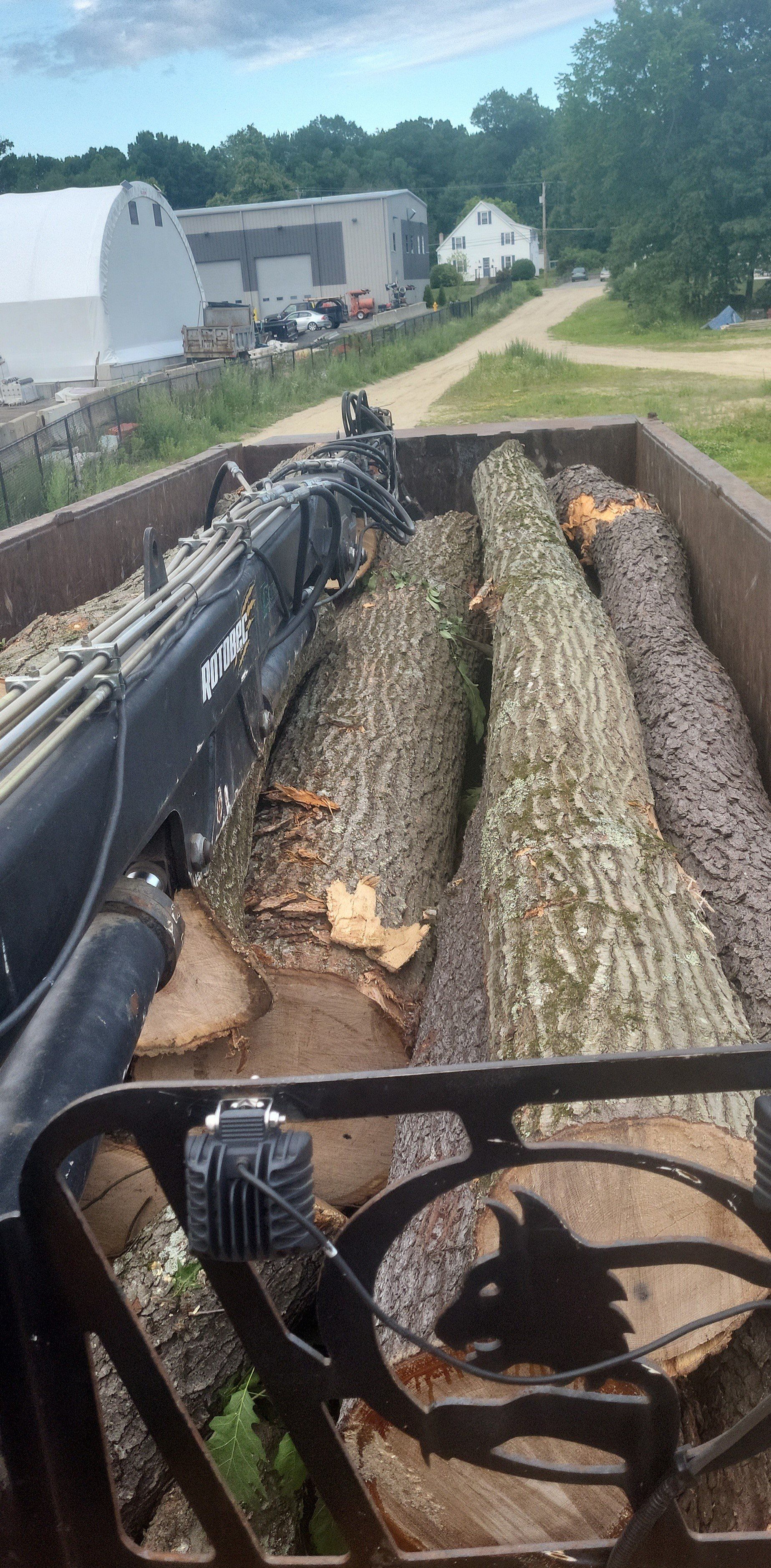 tree removal - tree pruning - crane services - lot clearing - hazardous tree removal  - timber pros - near me - Central MA