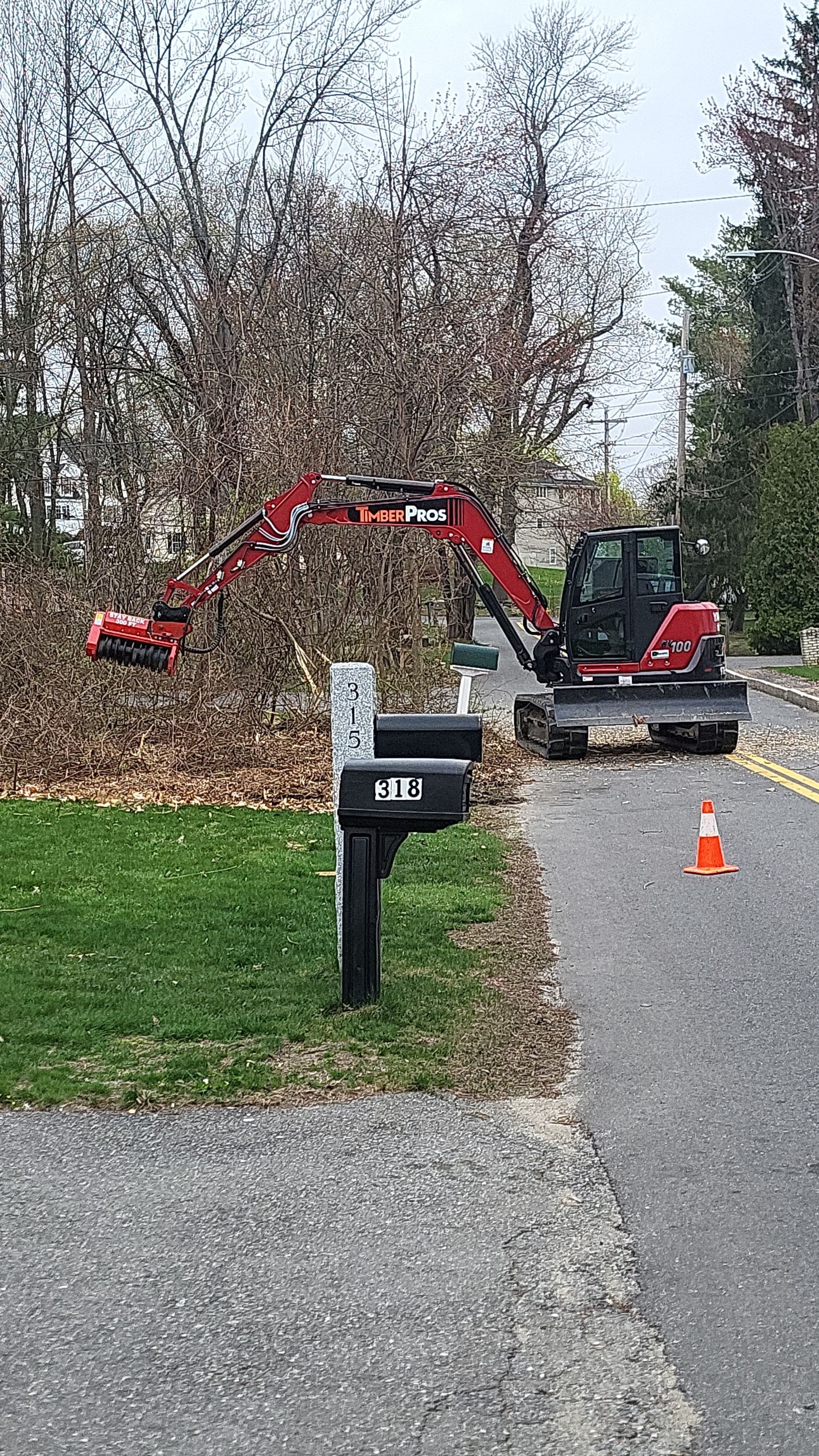 tree removal - tree pruning - crane services - lot clearing - hazardous tree removal  - timber pros - near me - Central MA