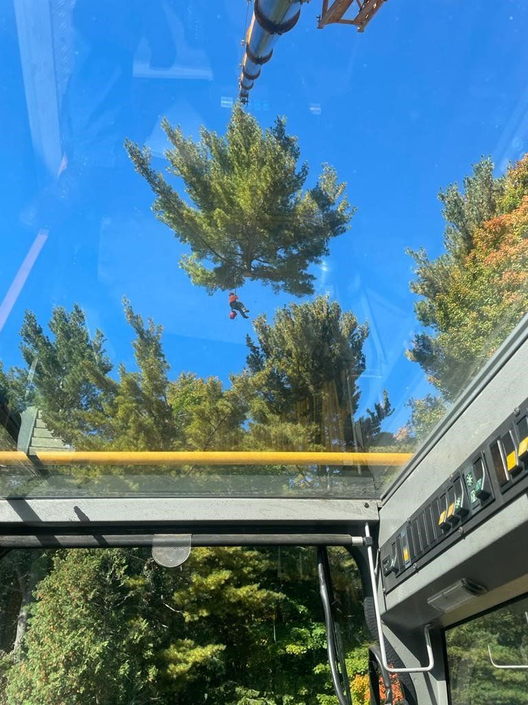 tree removal - tree pruning - crane services - lot clearing - hazardous tree removal  - timber pros - near me - Central MA